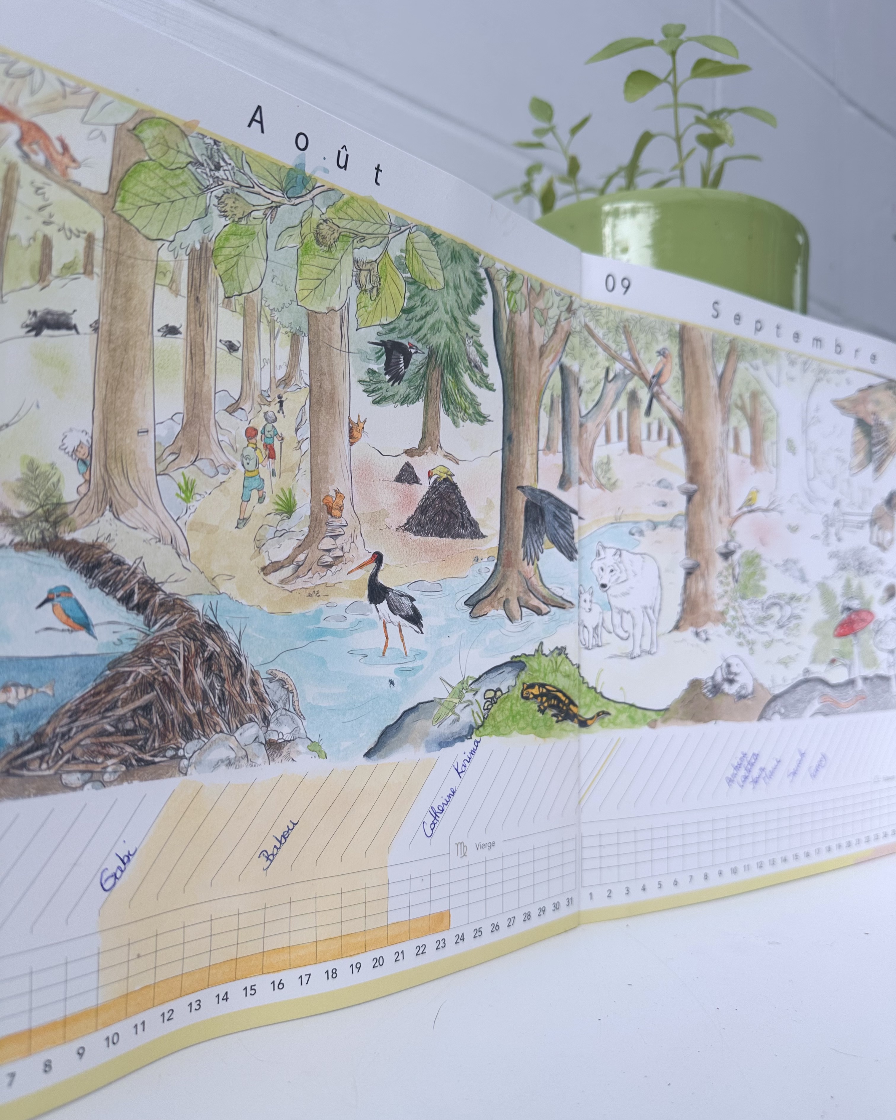 La page d'août du calendrier Forêt, entourée de cartes devinettes