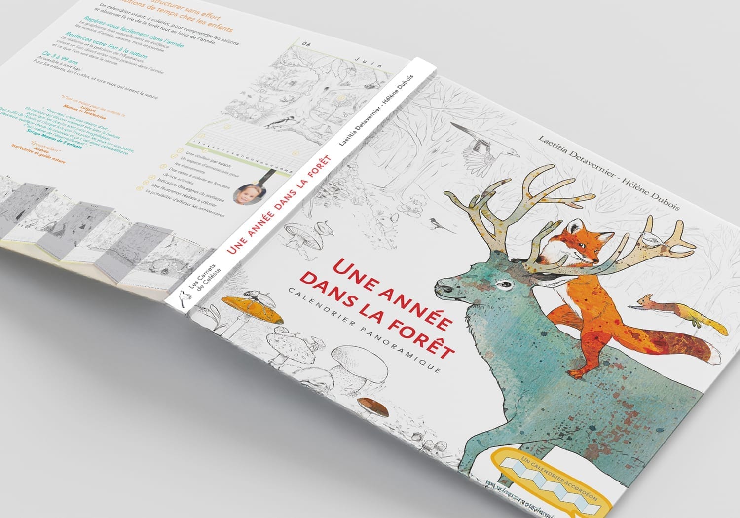 Couverture du Calendrier Panoramique Une année dans la Forêt