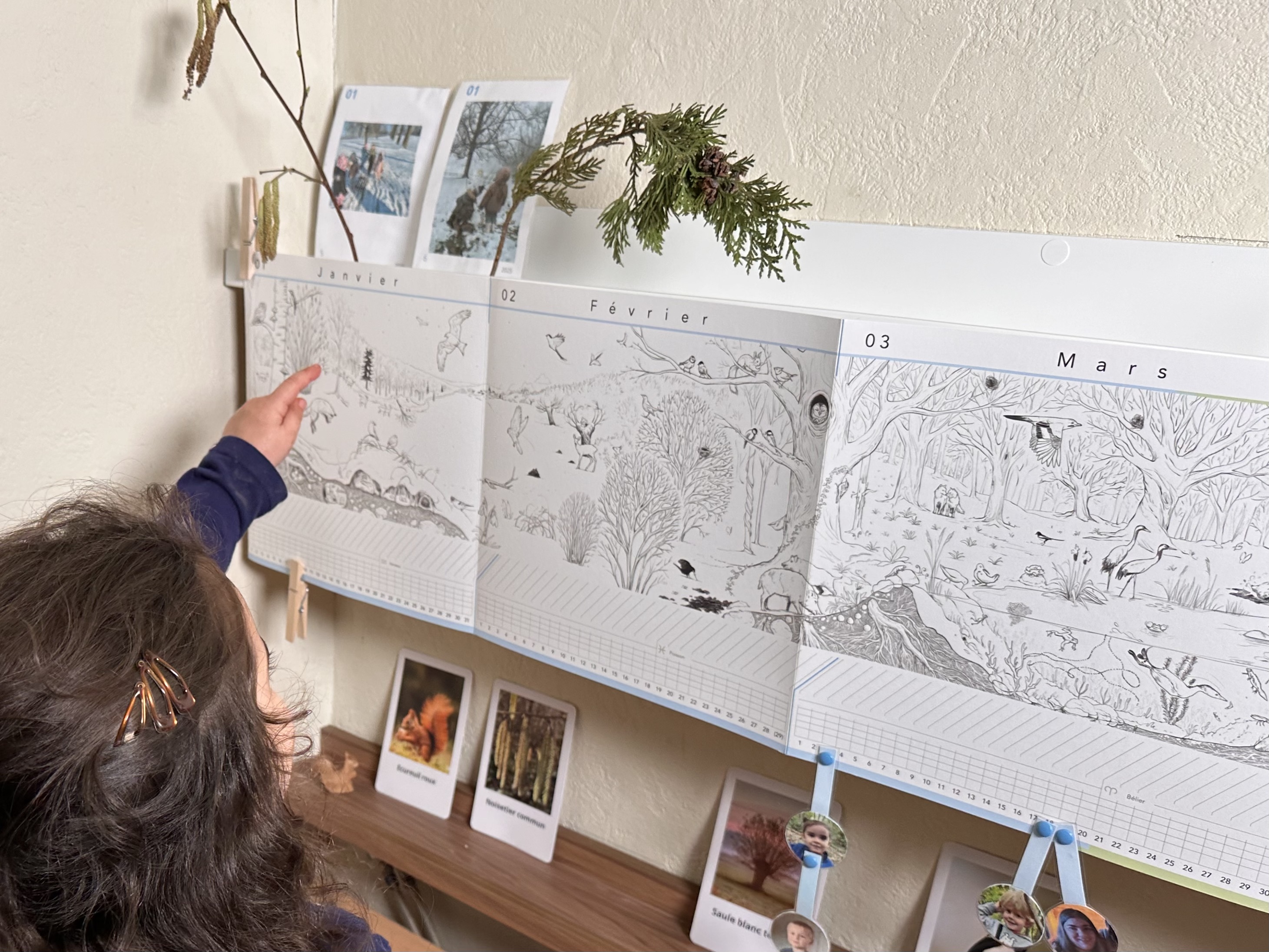 Le Calendrier Panoramique Une année dans la Forêt affiché au mur au Petit Abri