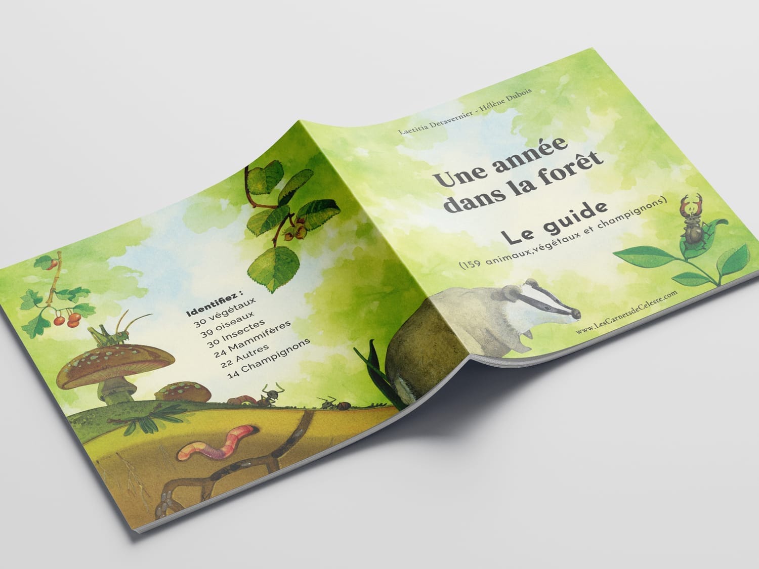 Couverture du guide d'identification accompagnant le Calendrier Panoramique