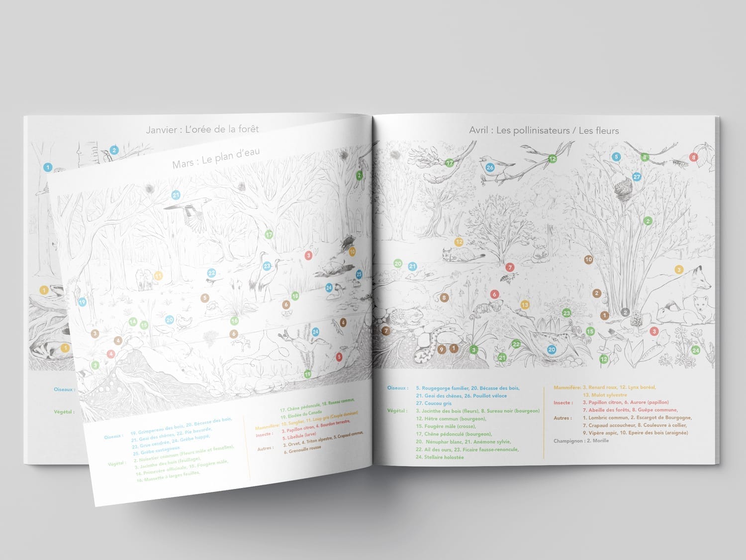 Pages intérieures du guide avec les catégories par couleur