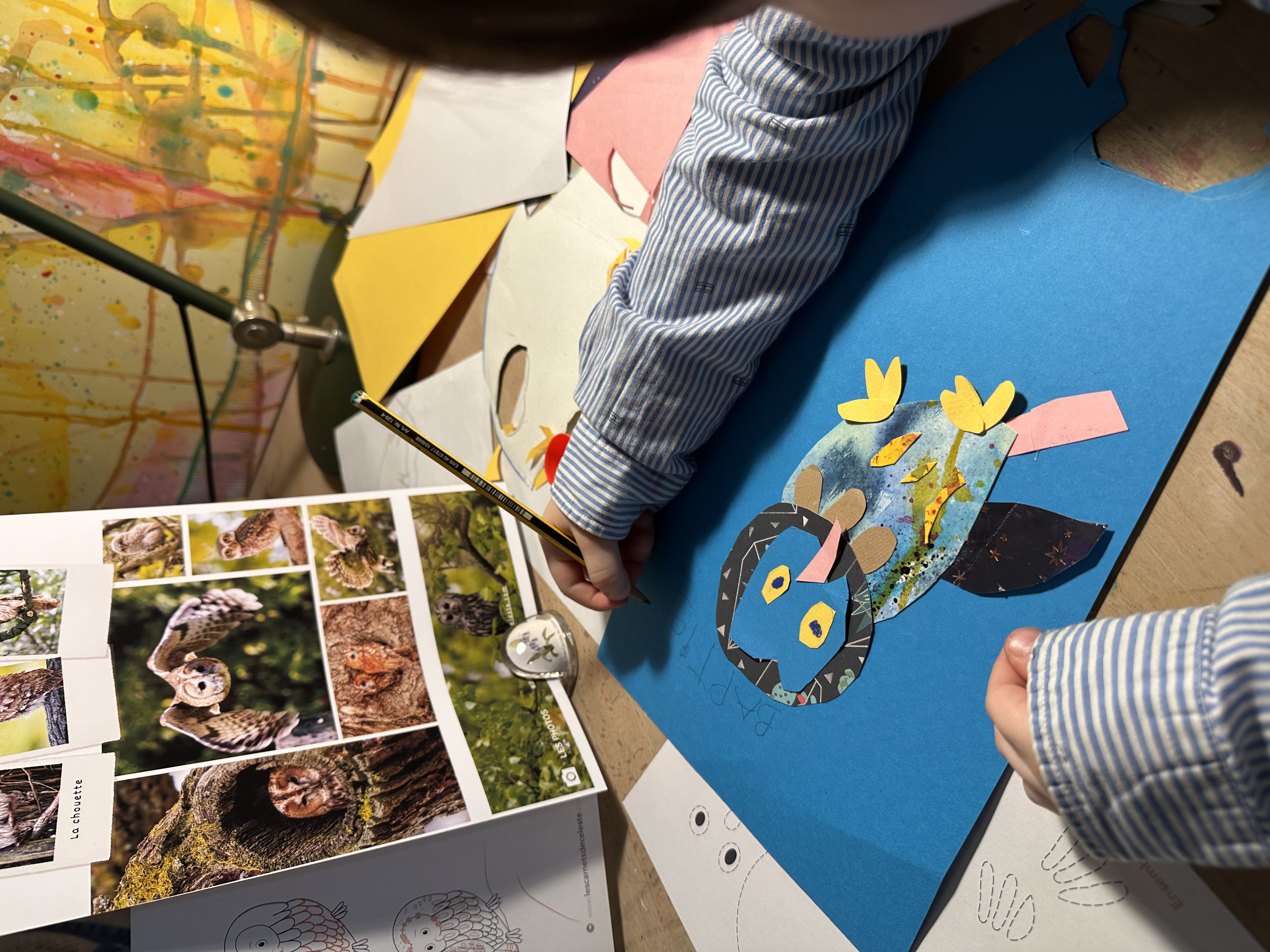 Baptiste signe son collage de chouette hulotte