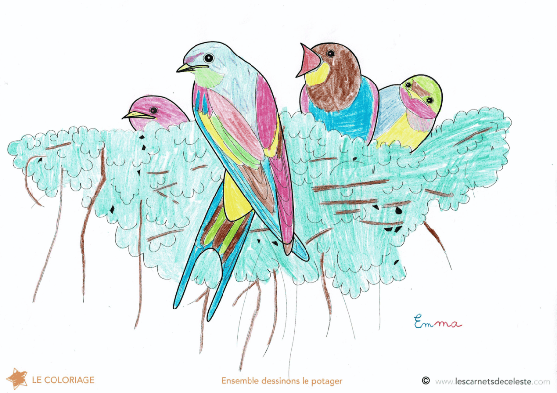 Coloriage de l'hirondelle