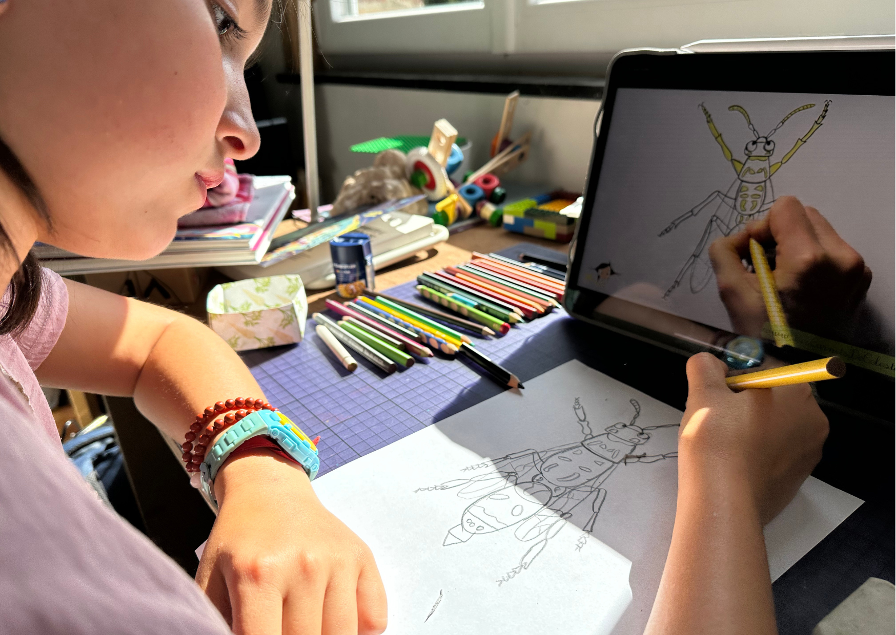 Ensemble Dessinons les Insectes