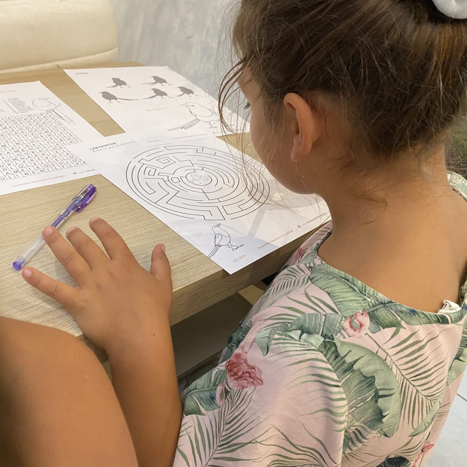 Célestine résout le labyrinthe de la pie — retrouver ses oeufs