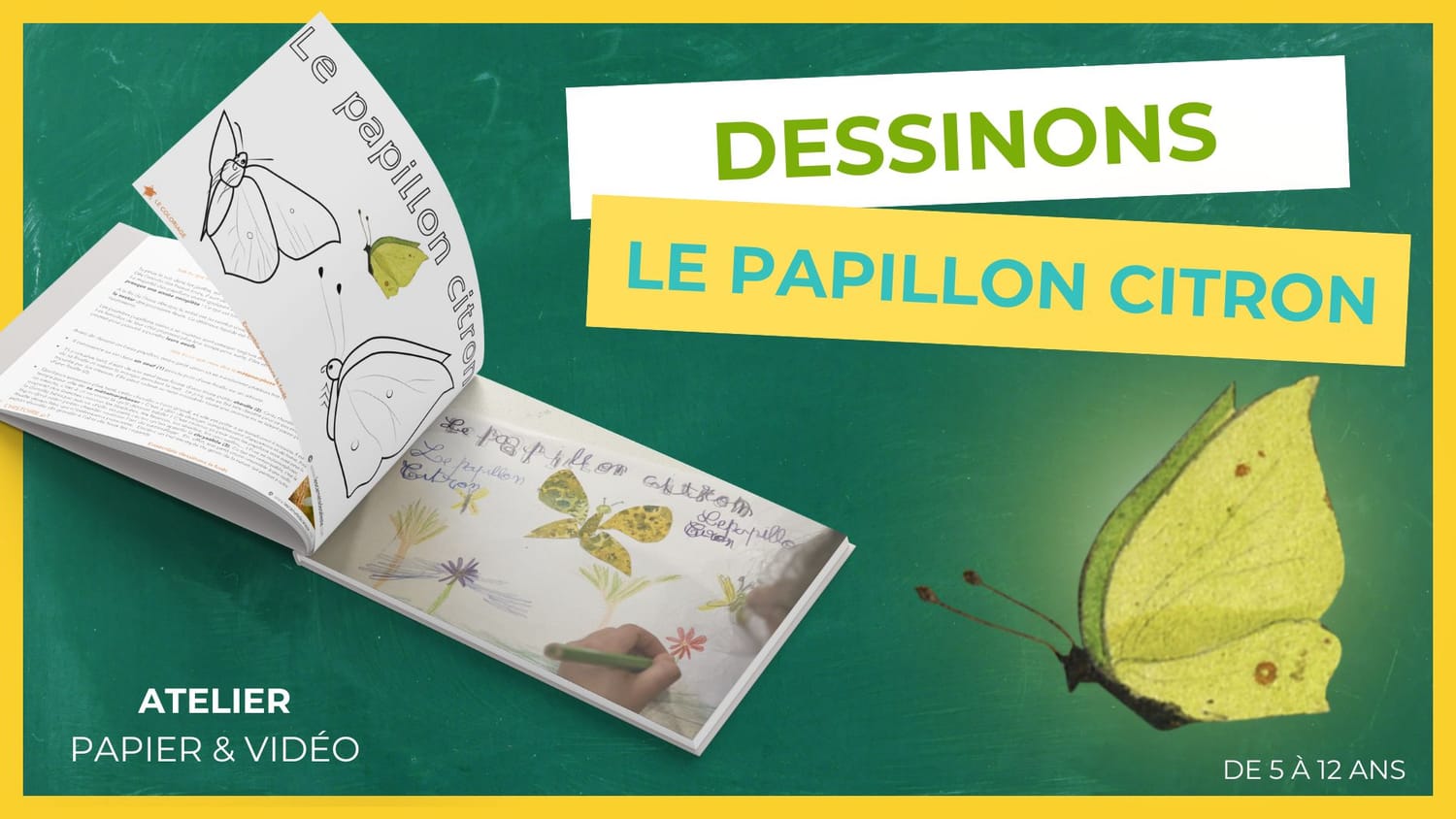 Dessinons le Papillon citron — bannière atelier