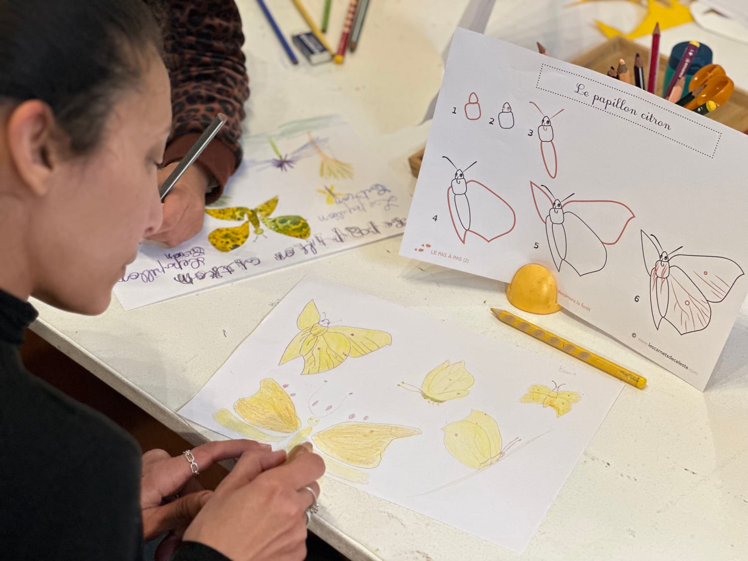 Les papillons dessinés par Karima avec la fiche pas-à-pas