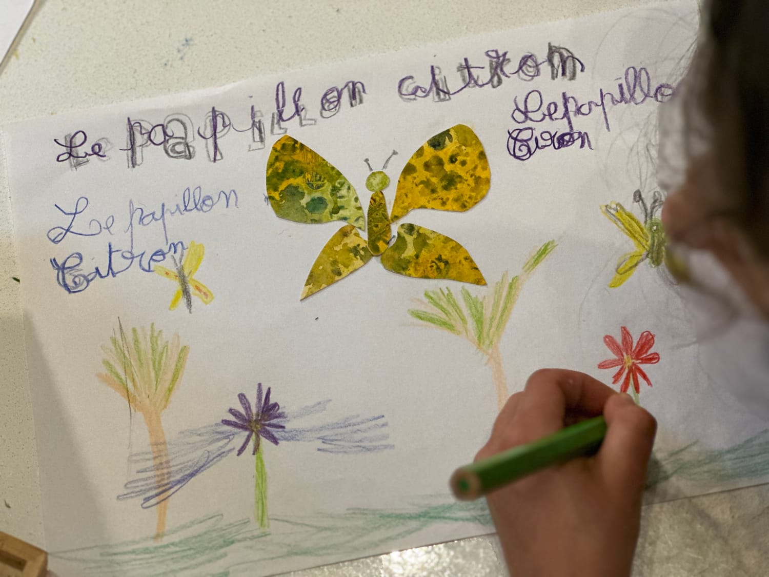 Le papillon citron découpé par Mina