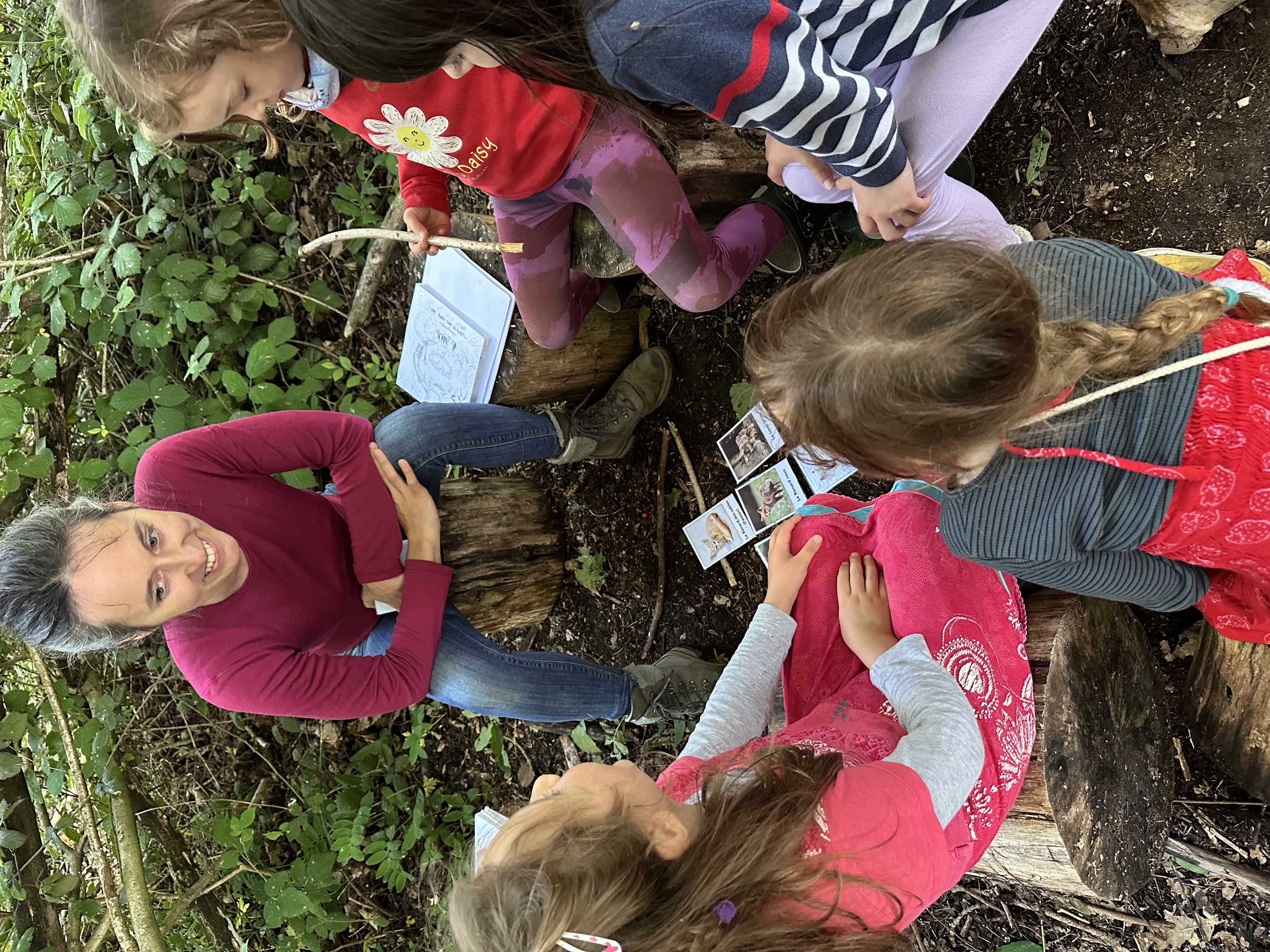 Histoire sur le Pic vert racontée aux enfants en forêt