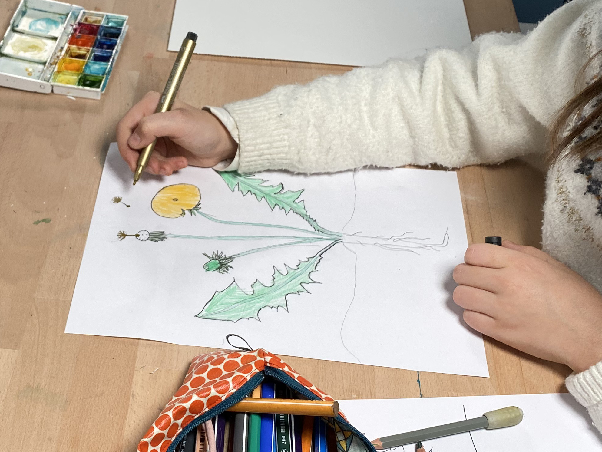 Dessin du pissenlit réalisé par Céleste, 10 ans
