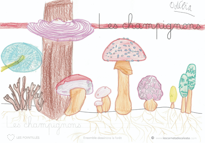 Fiche pointillés sur les champignons mise en couleur