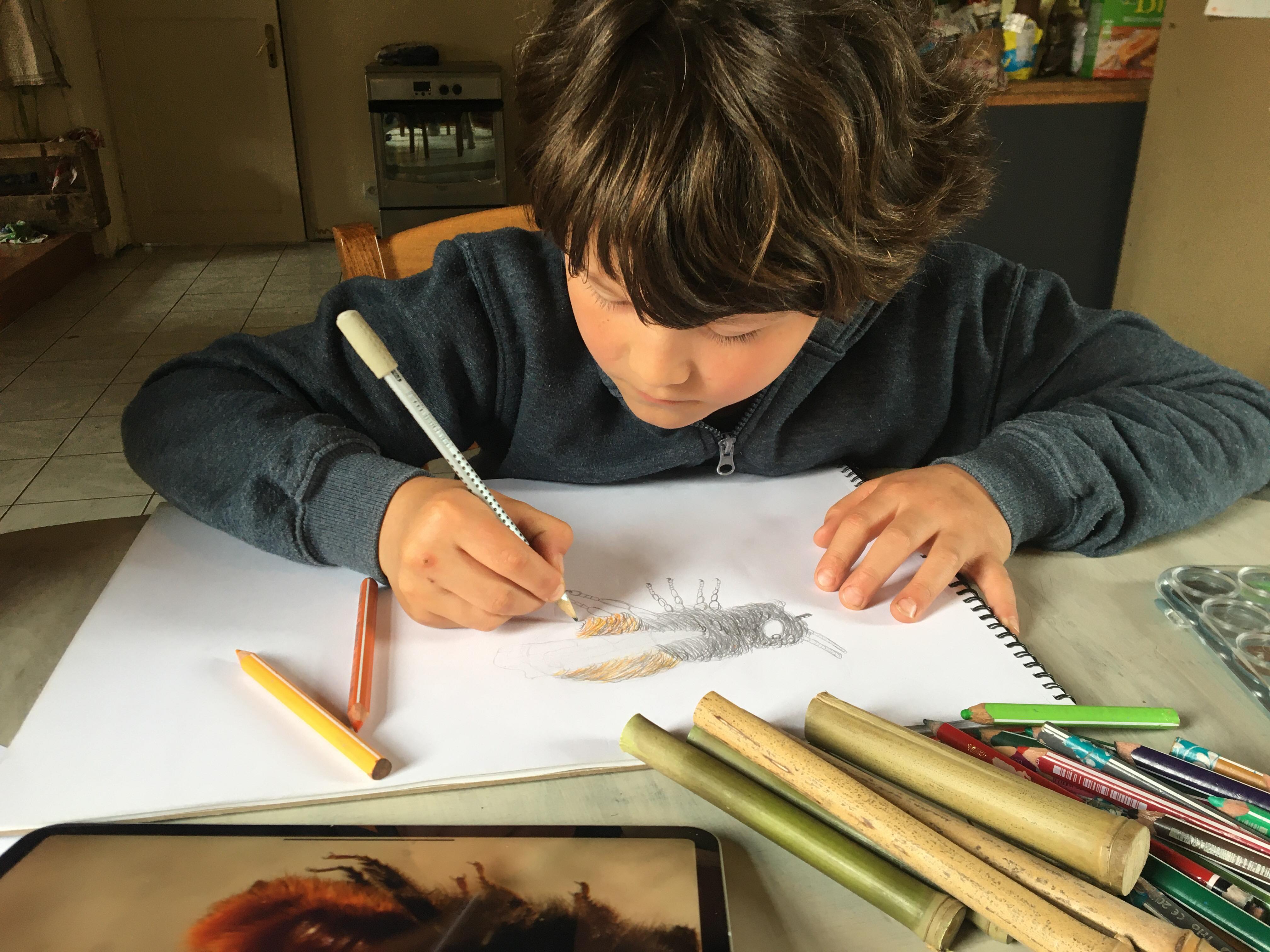 Atelier sur les pollinisateurs en classe avec dessins d'enfants