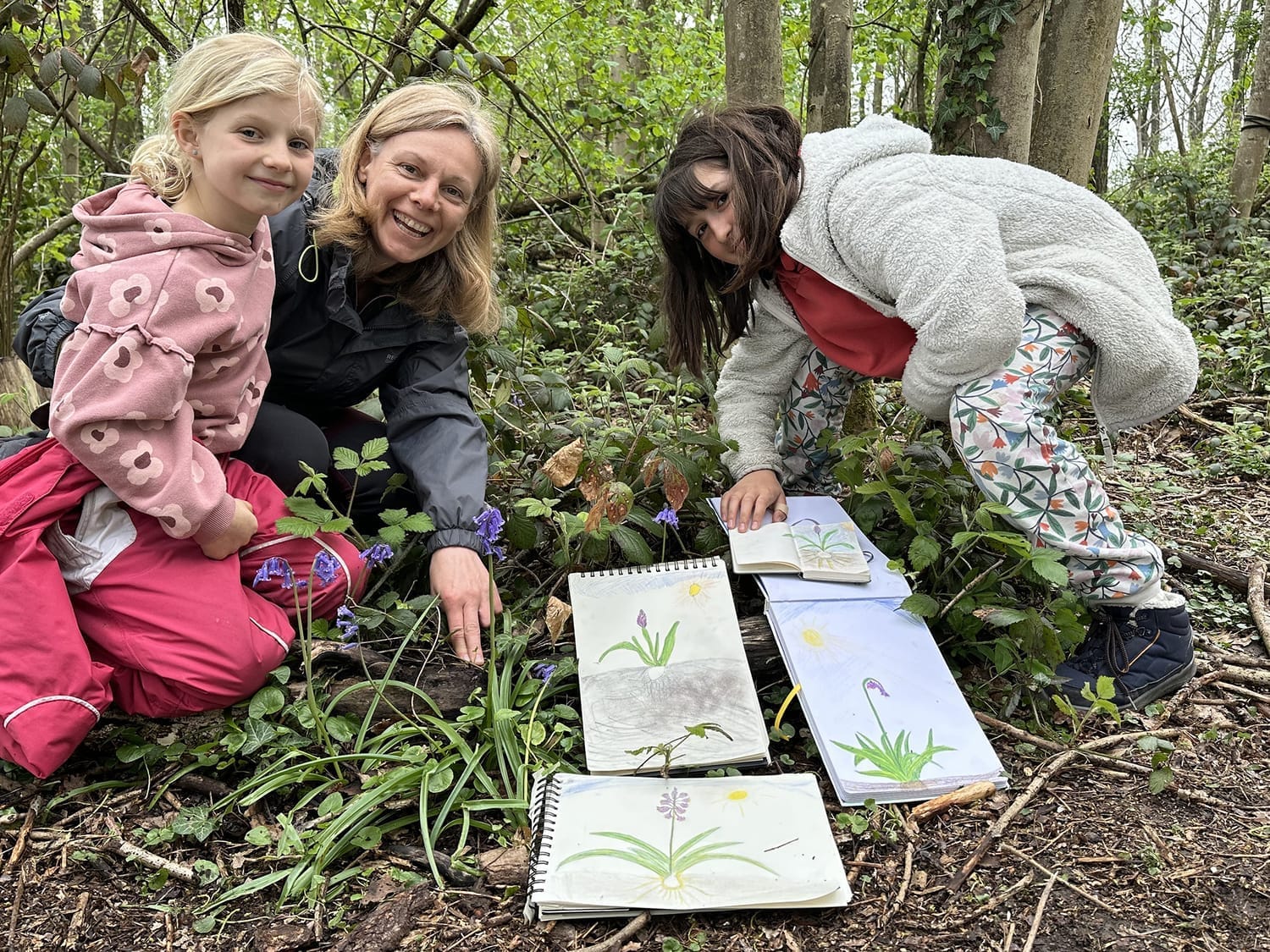 Les dessins de jacinthes des bois réalisés par le groupe