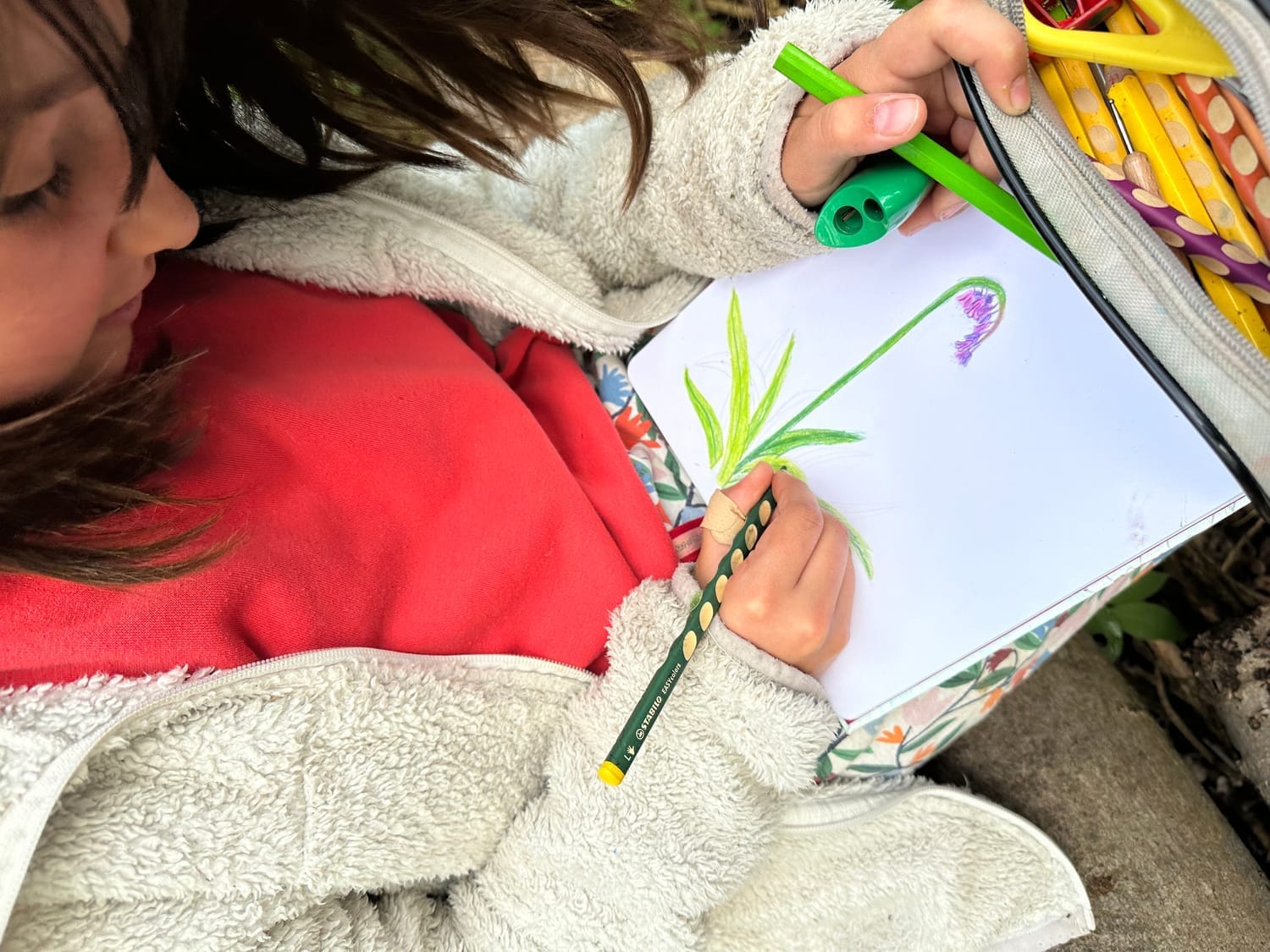 Dessin de jacinthe des bois réalisé par Céleste