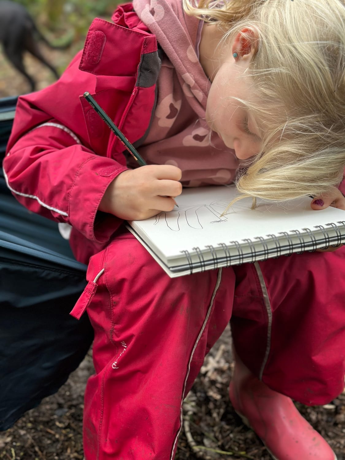 Zéli dessine la jacinthe des bois en pleine nature