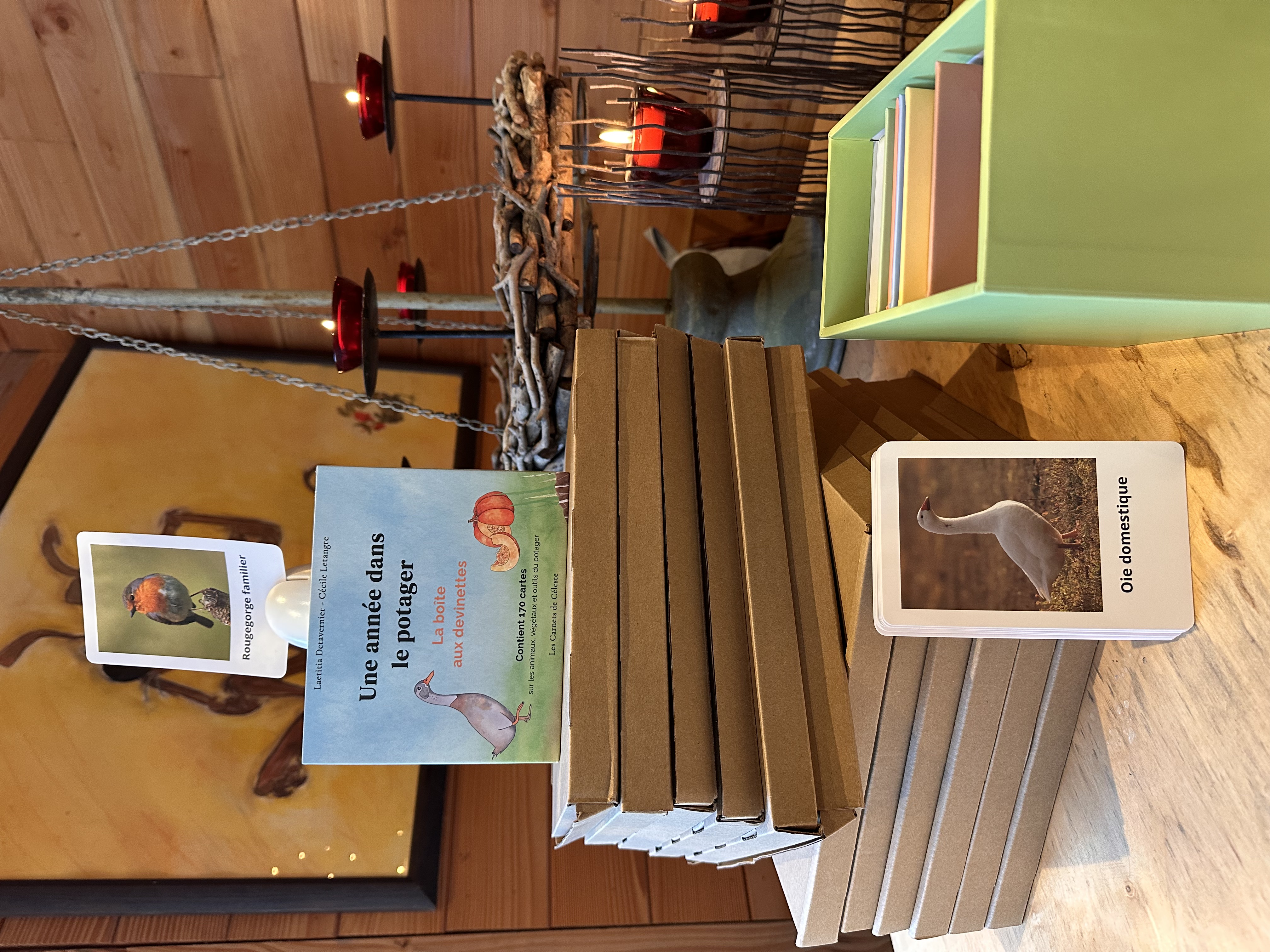 La Boîte aux Devinettes ouverte avec ses 170 cartes pédagogiques classées par catégorie