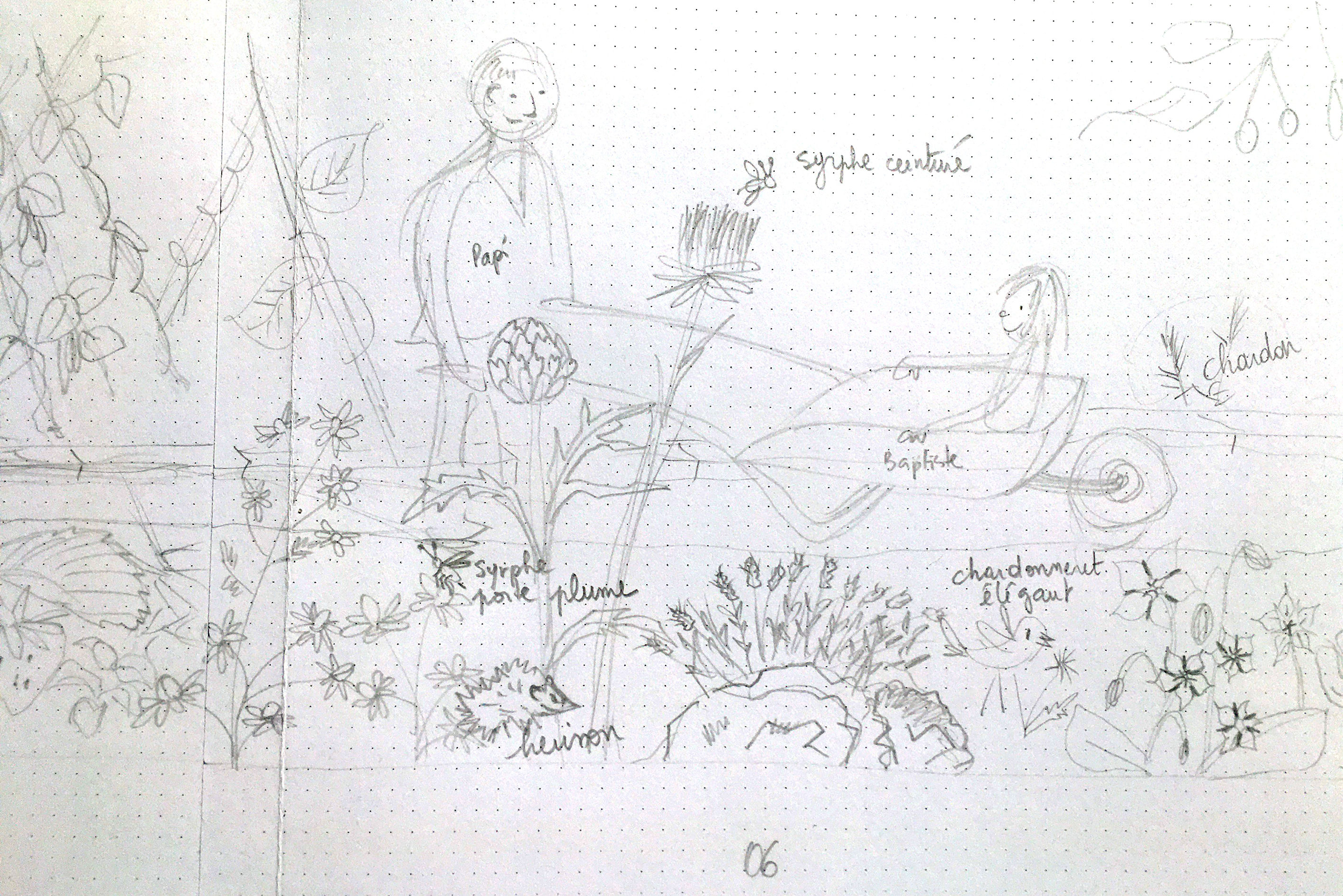 Croquis du mois de juin pour le Calendrier Panoramique sur le potager