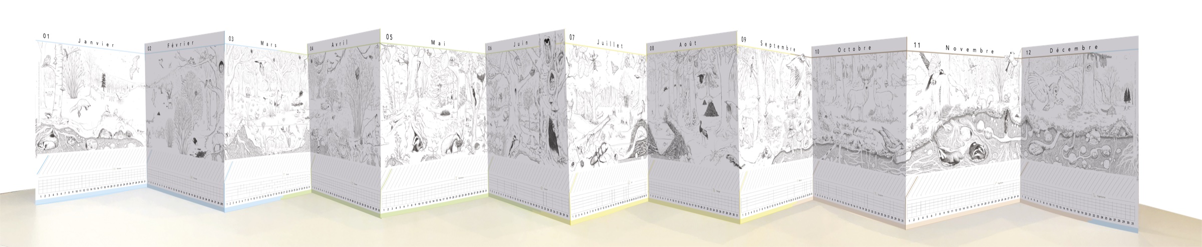 Calendrier Panoramique déployé sur 3 mètres dans une classe