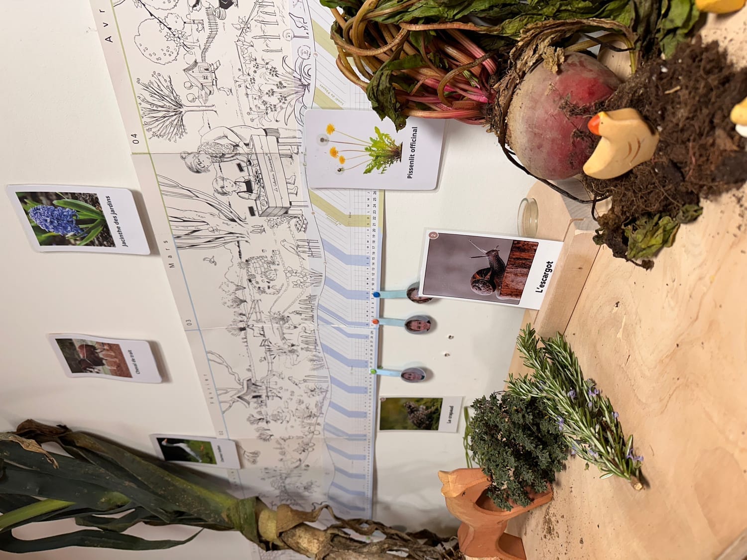 Table des saisons chez Caro, guide nature