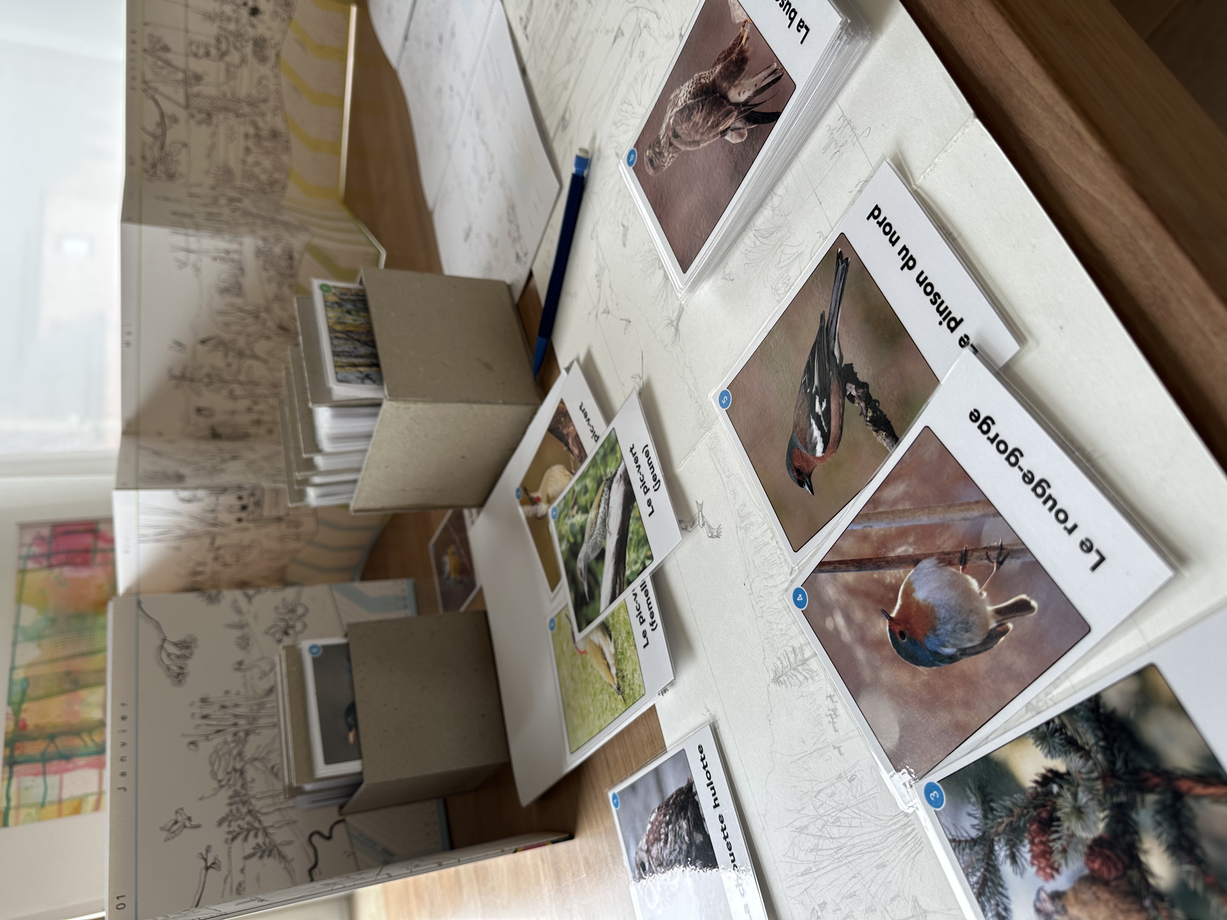 Correction des noms d'oiseaux sur les cartes devinettes