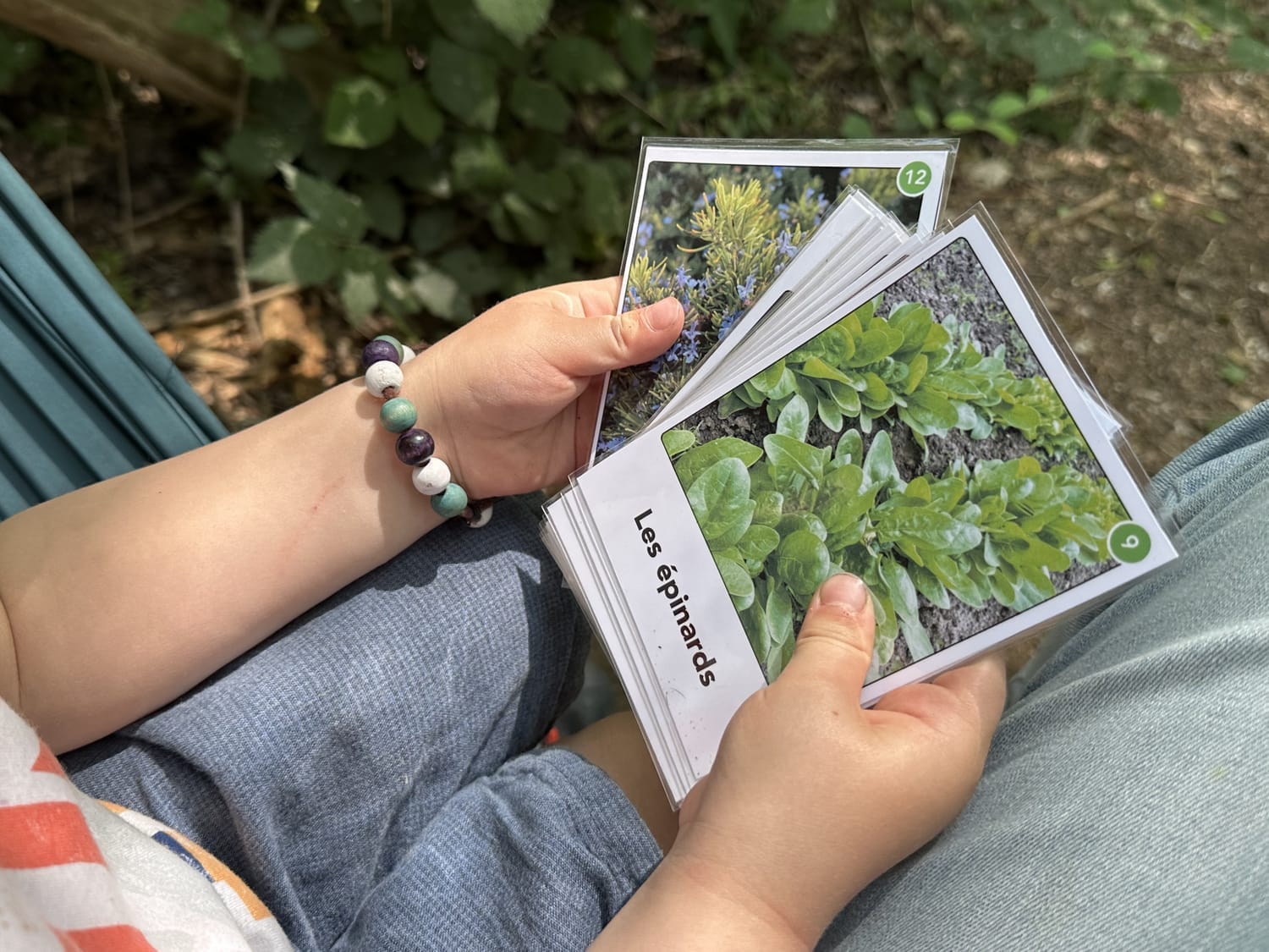 Cartes de nomenclature du Calendrier Panoramique sur la forêt