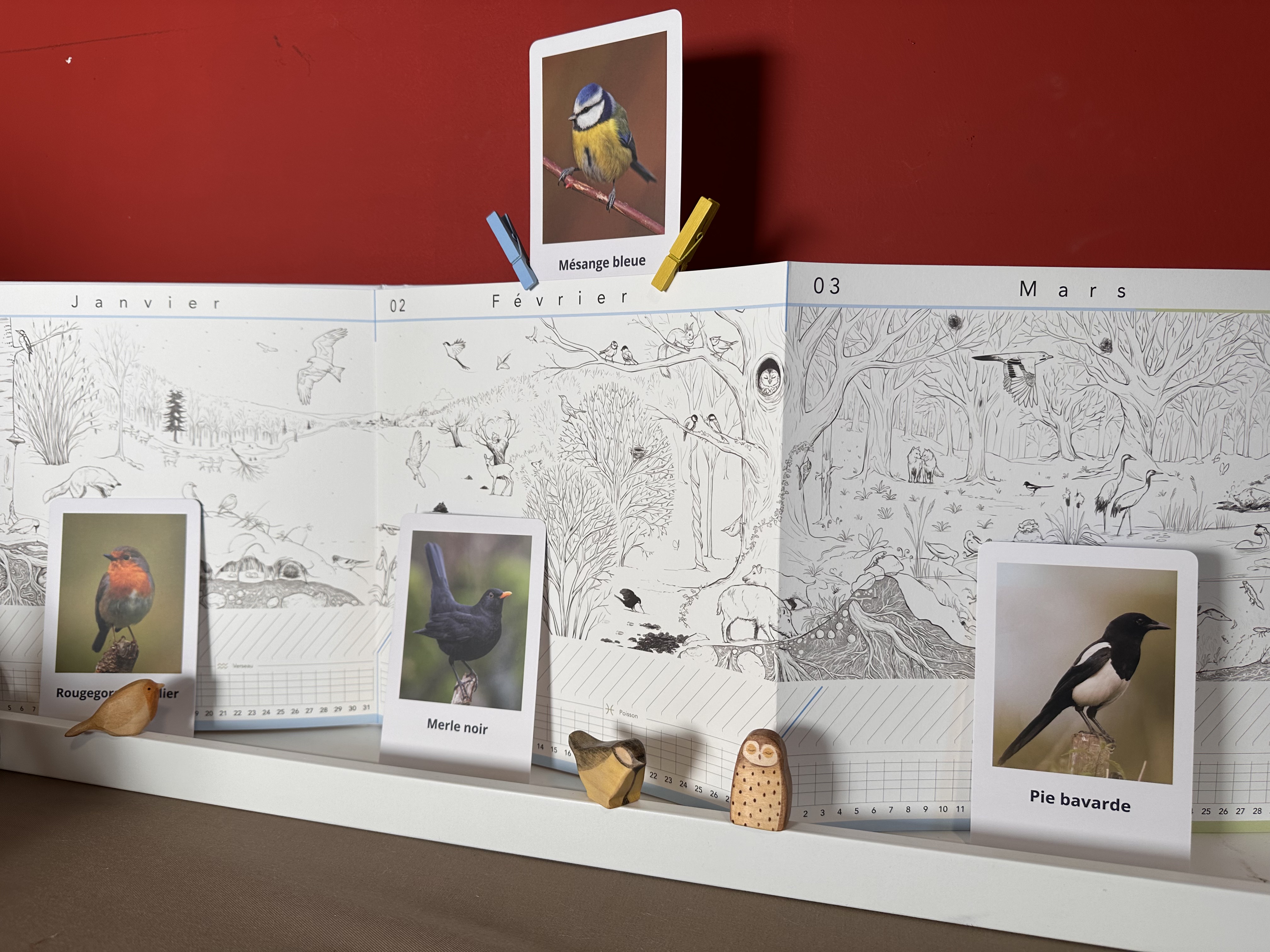 Découverte des oiseaux avec les cartes devinettes et le Calendrier Panoramique