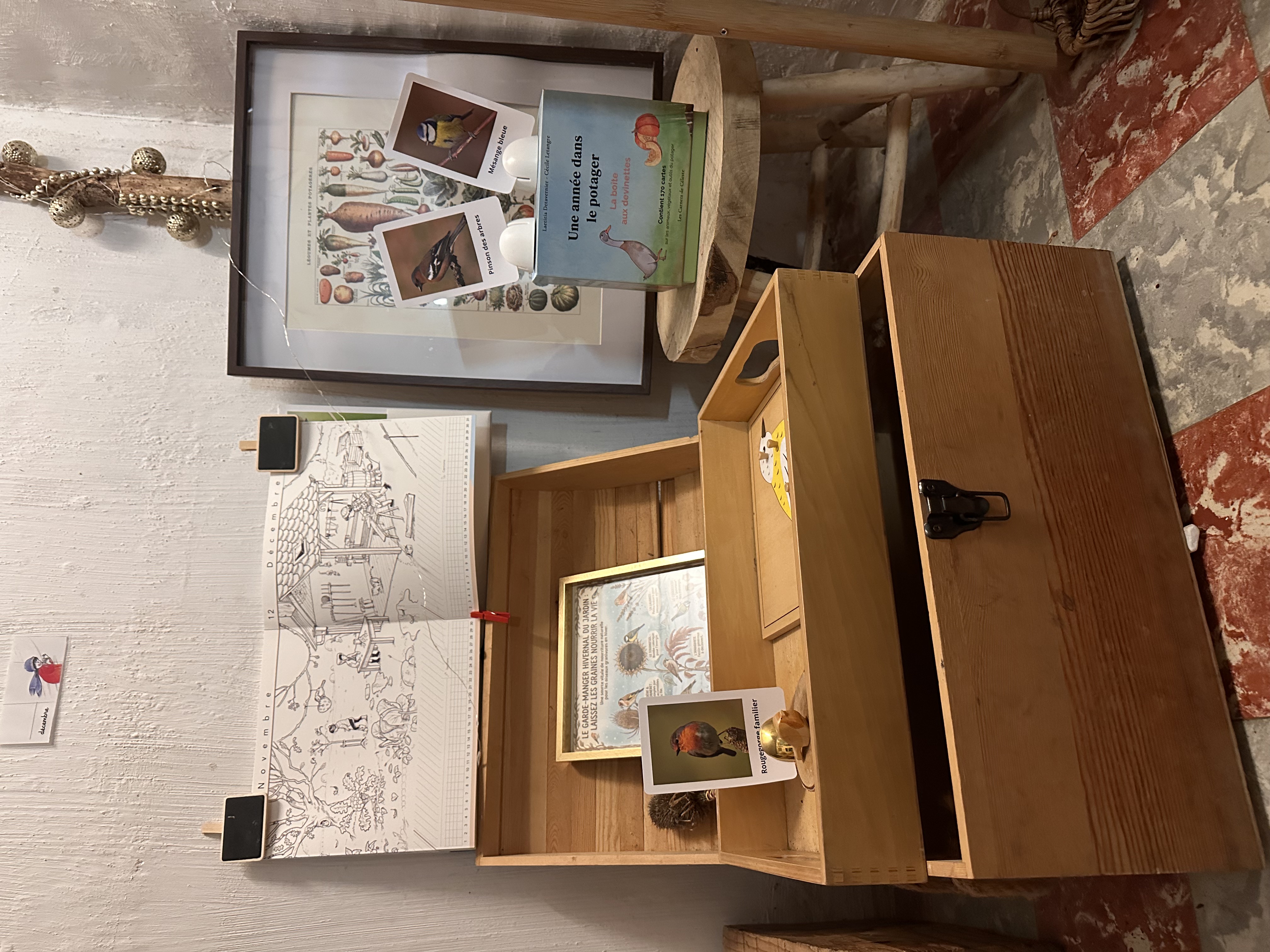 Espace dédié aux oiseaux avec cartes devinettes au Petit Abri