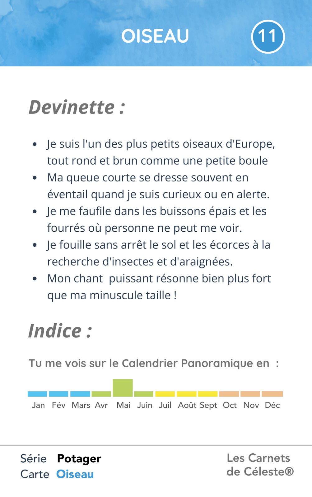 Verso de la carte Troglodyte mignon avec devinette et indice saisonnier