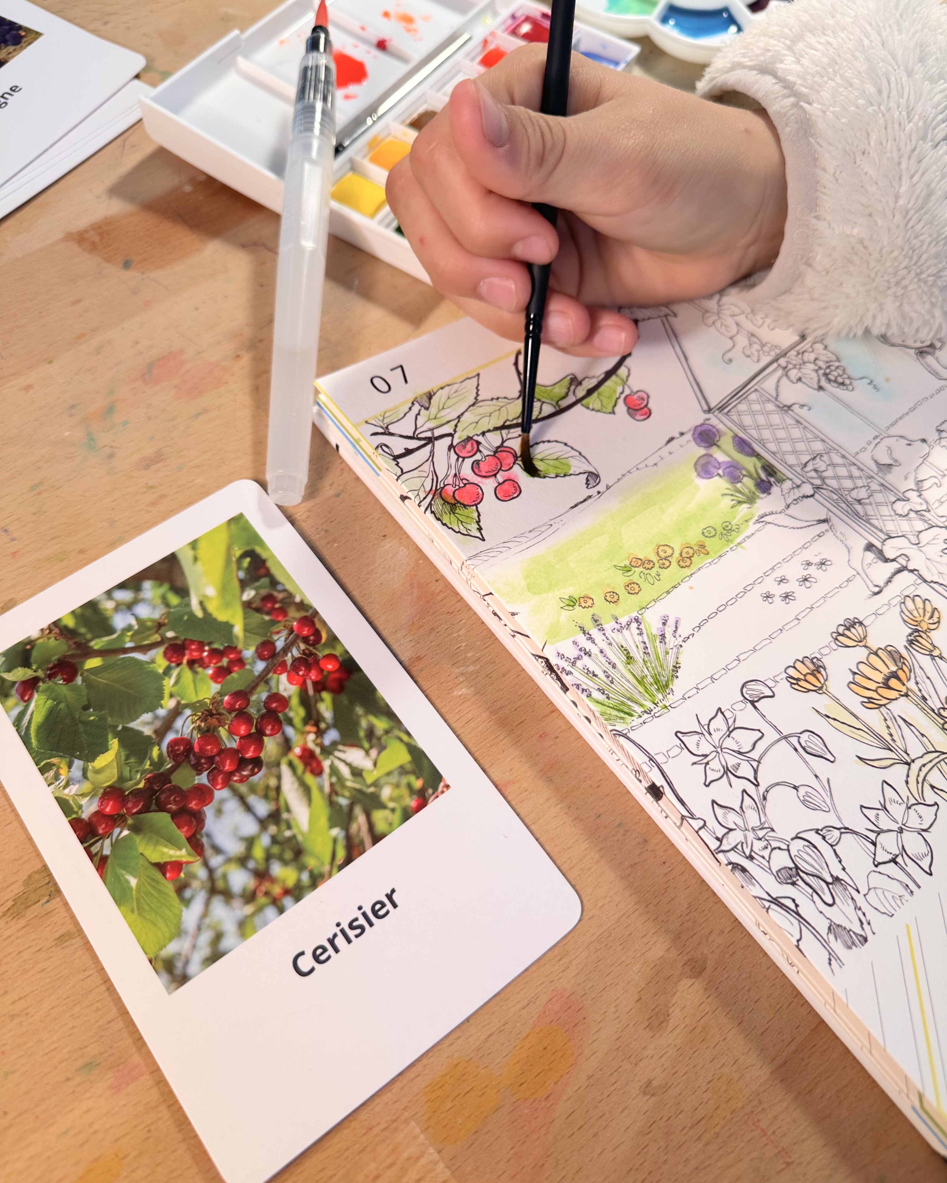 Zéli met en couleur une feuille de cerisier sur le Calendrier Panoramique avec une carte modèle
