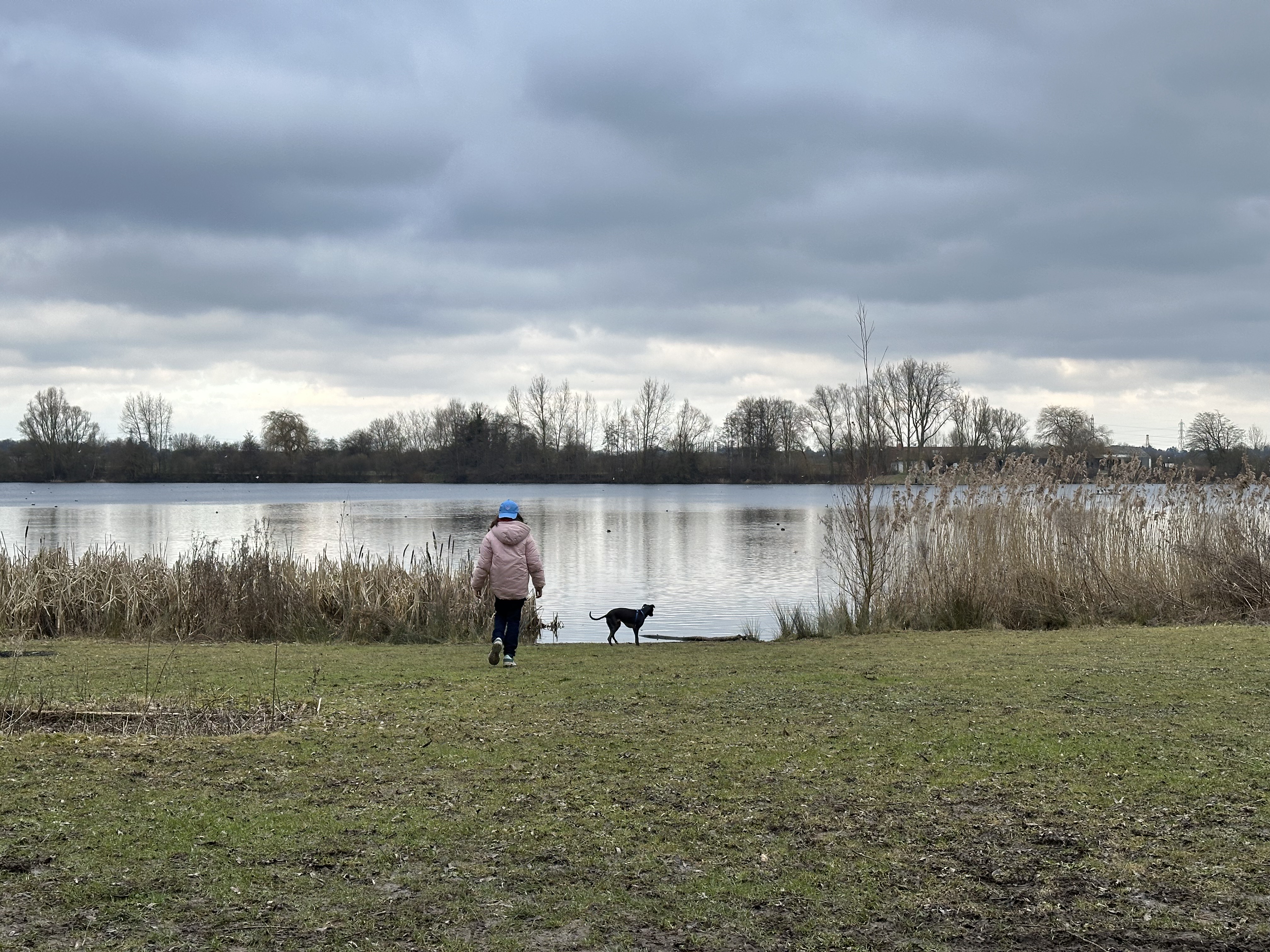 Balade autour du lac du Héron à Villeneuve-d'Ascq