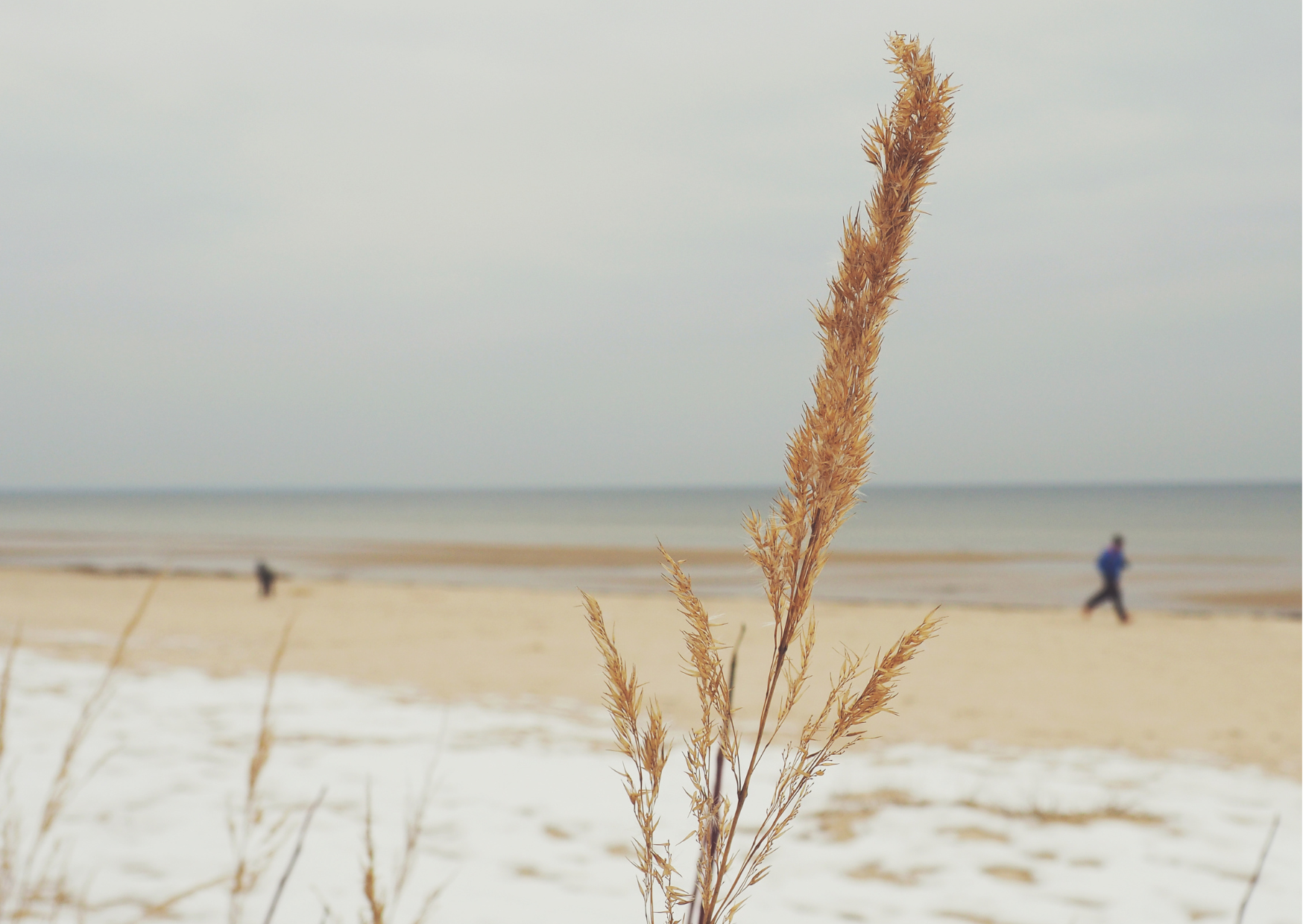 La plage enneigée au bord de la mer