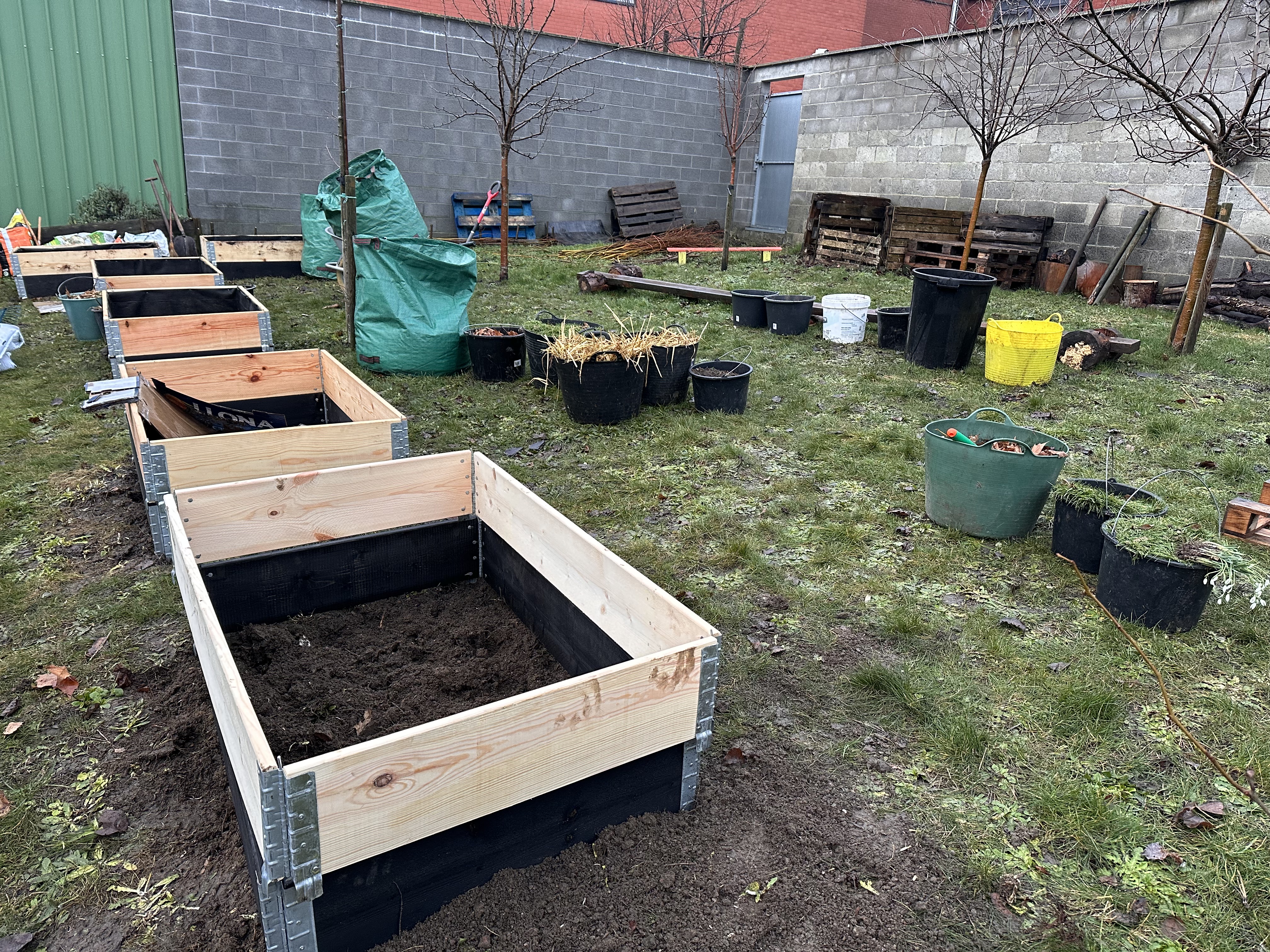 Carrés potagers nouvellement installés au CSM en janvier