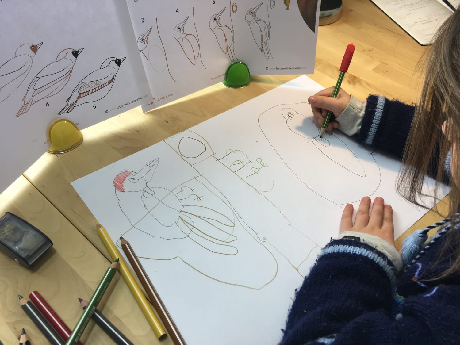 Dessin du Pic vert réalisé par Céleste 6 ans, avec des couleurs vives et des détails précis