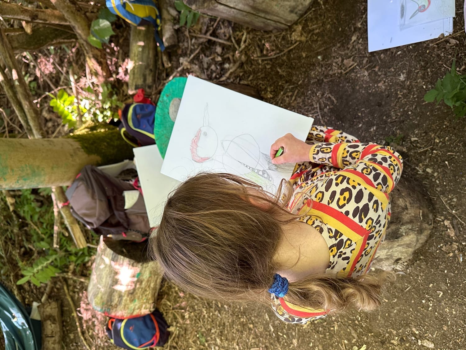 Dessin du Pic vert réalisé par Poppy 6 ans avec des couleurs éclatantes