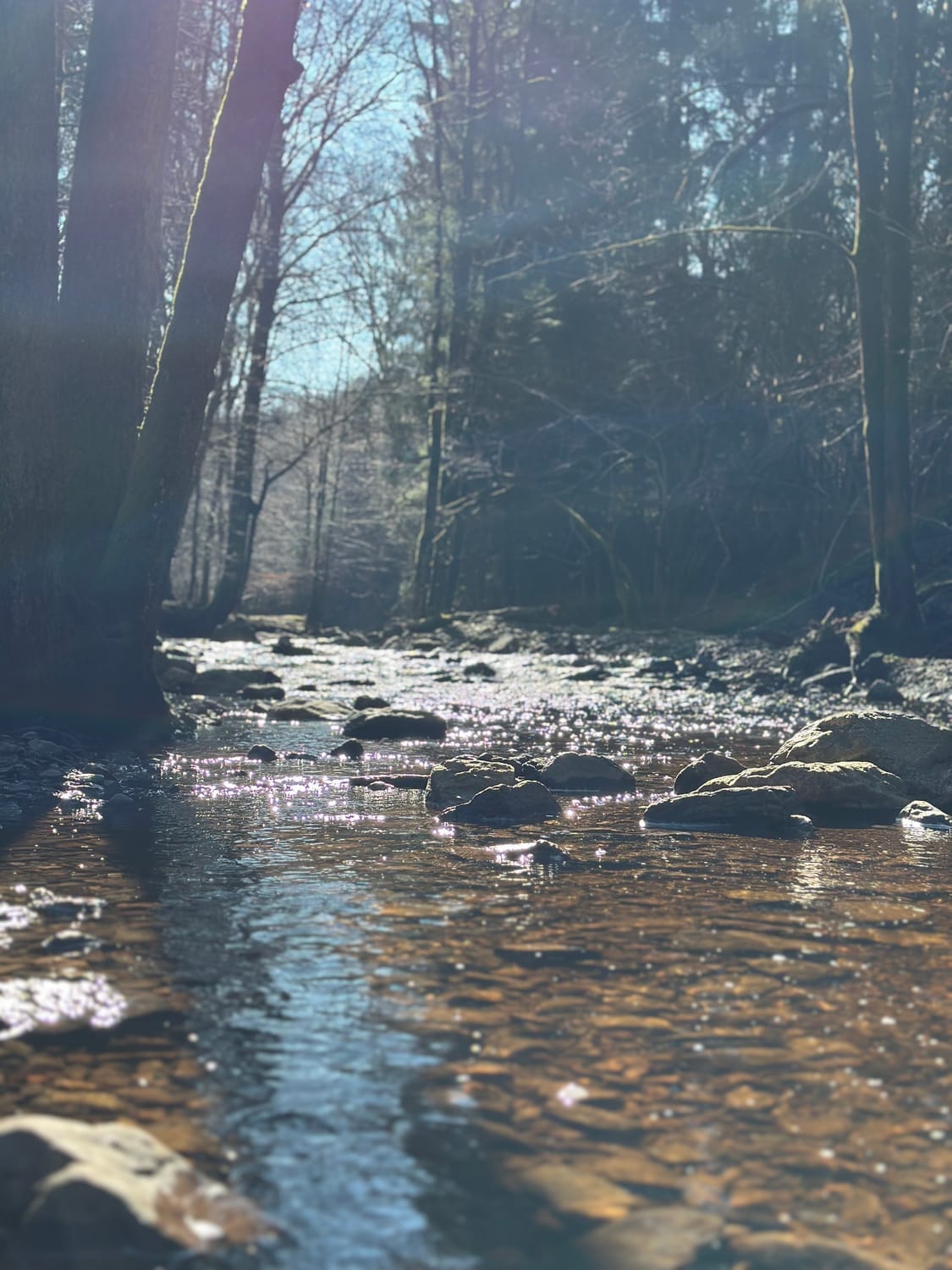 Promenade le long de la rivière en Ardennes belges