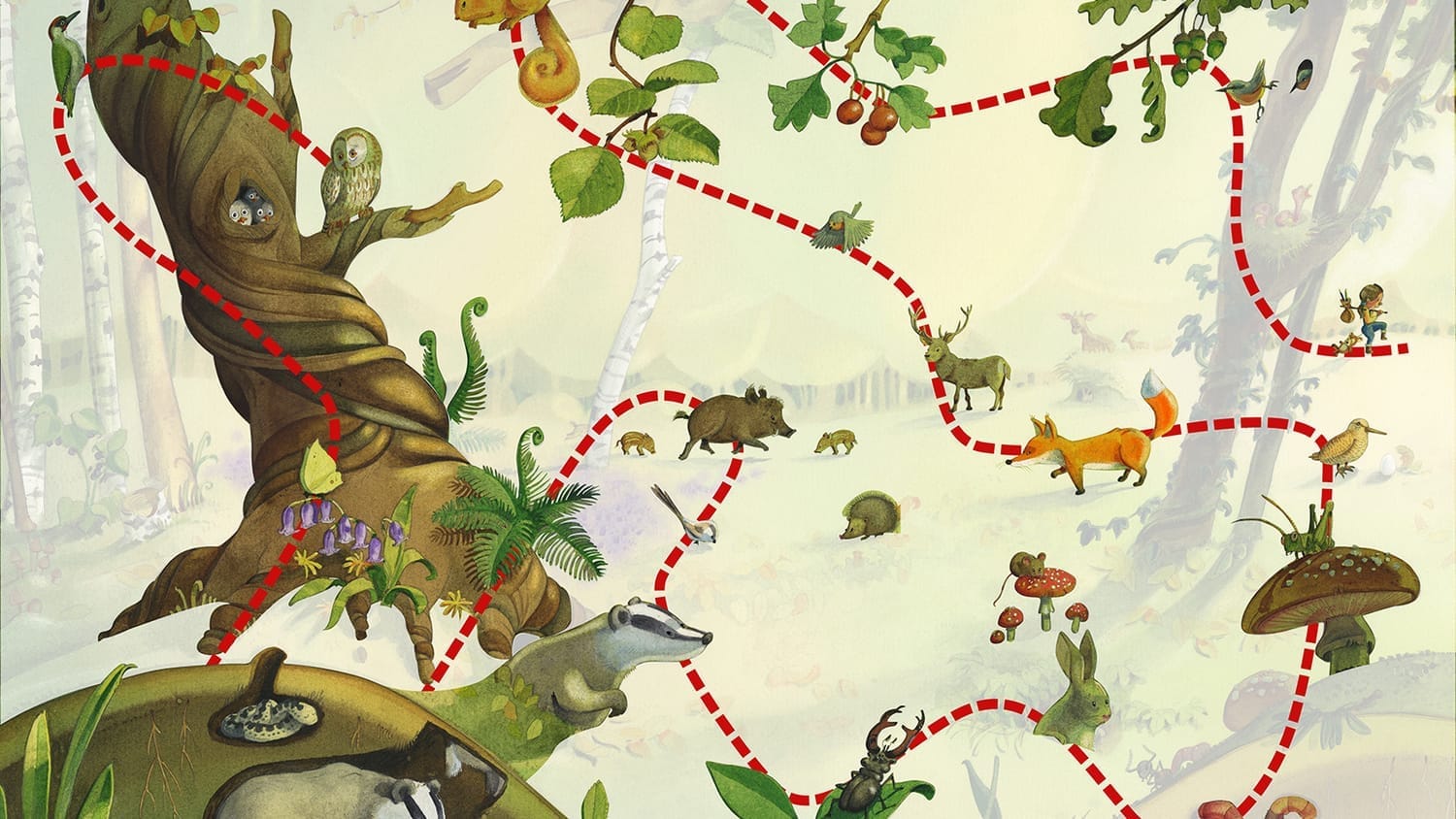 Parcours des 24 ateliers sur la forêt