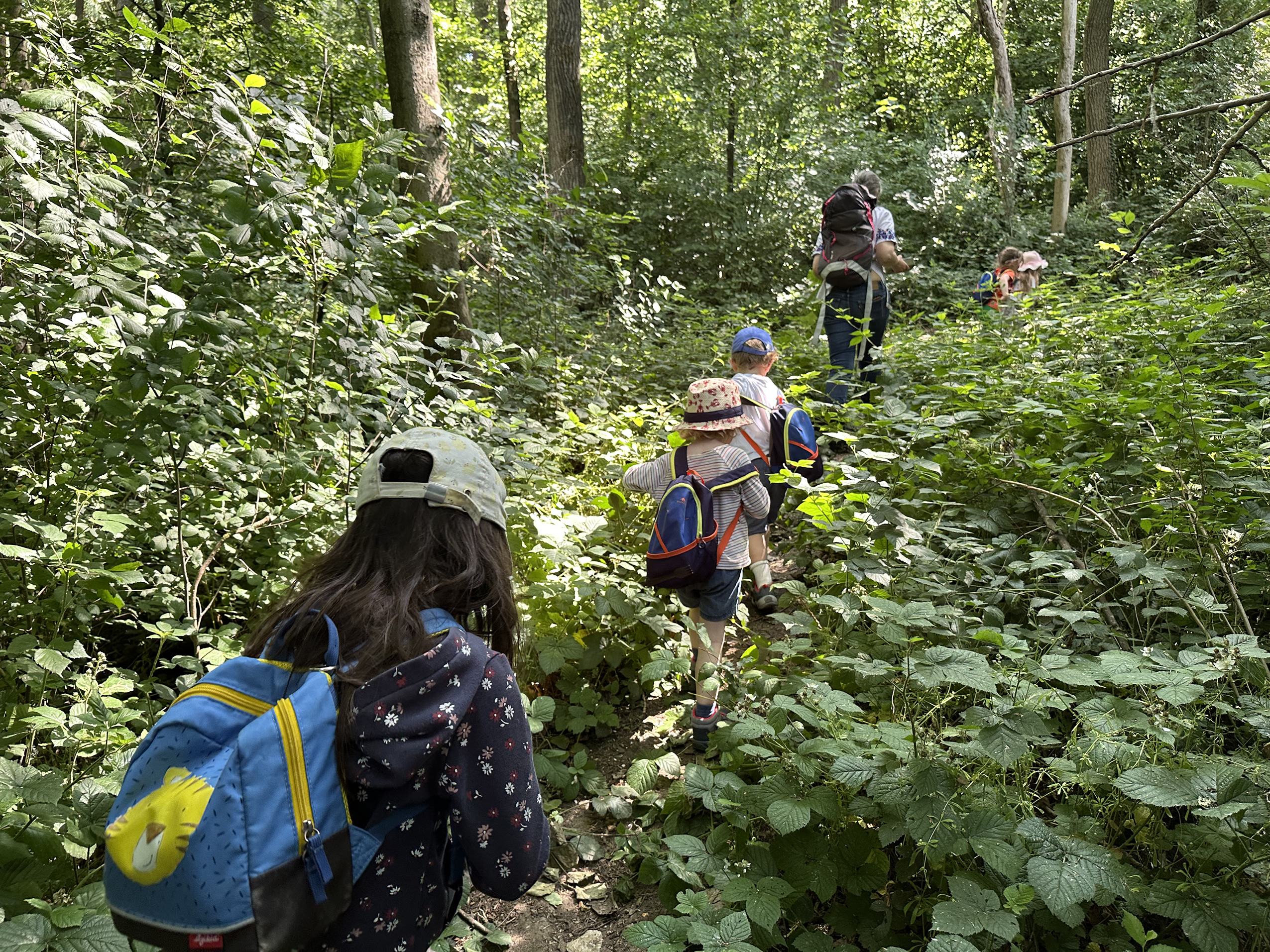 Enfants se promenant en forêt pour découvrir la nature sauvage