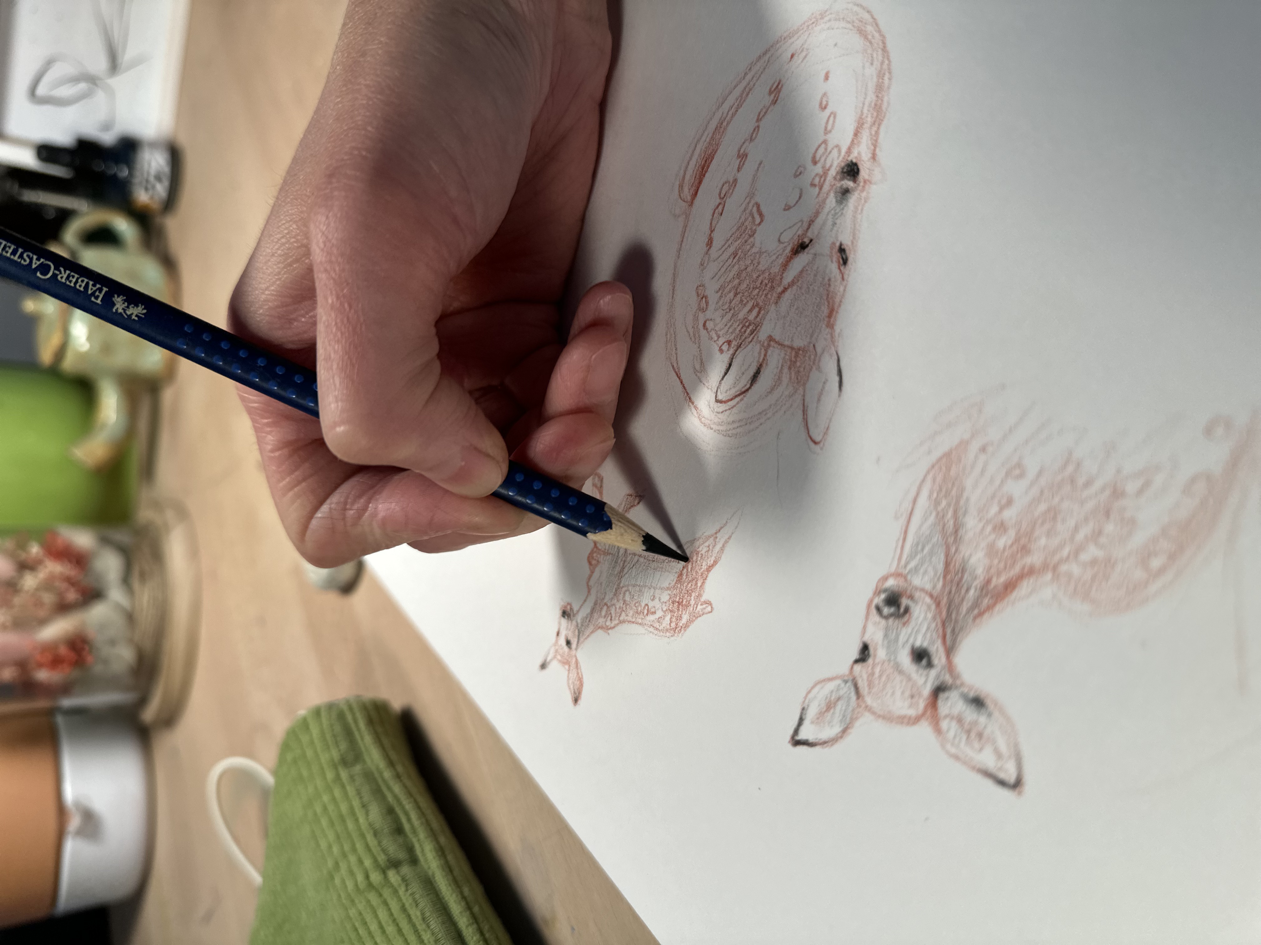 Croquis d'un jeune faon caché dans les herbes