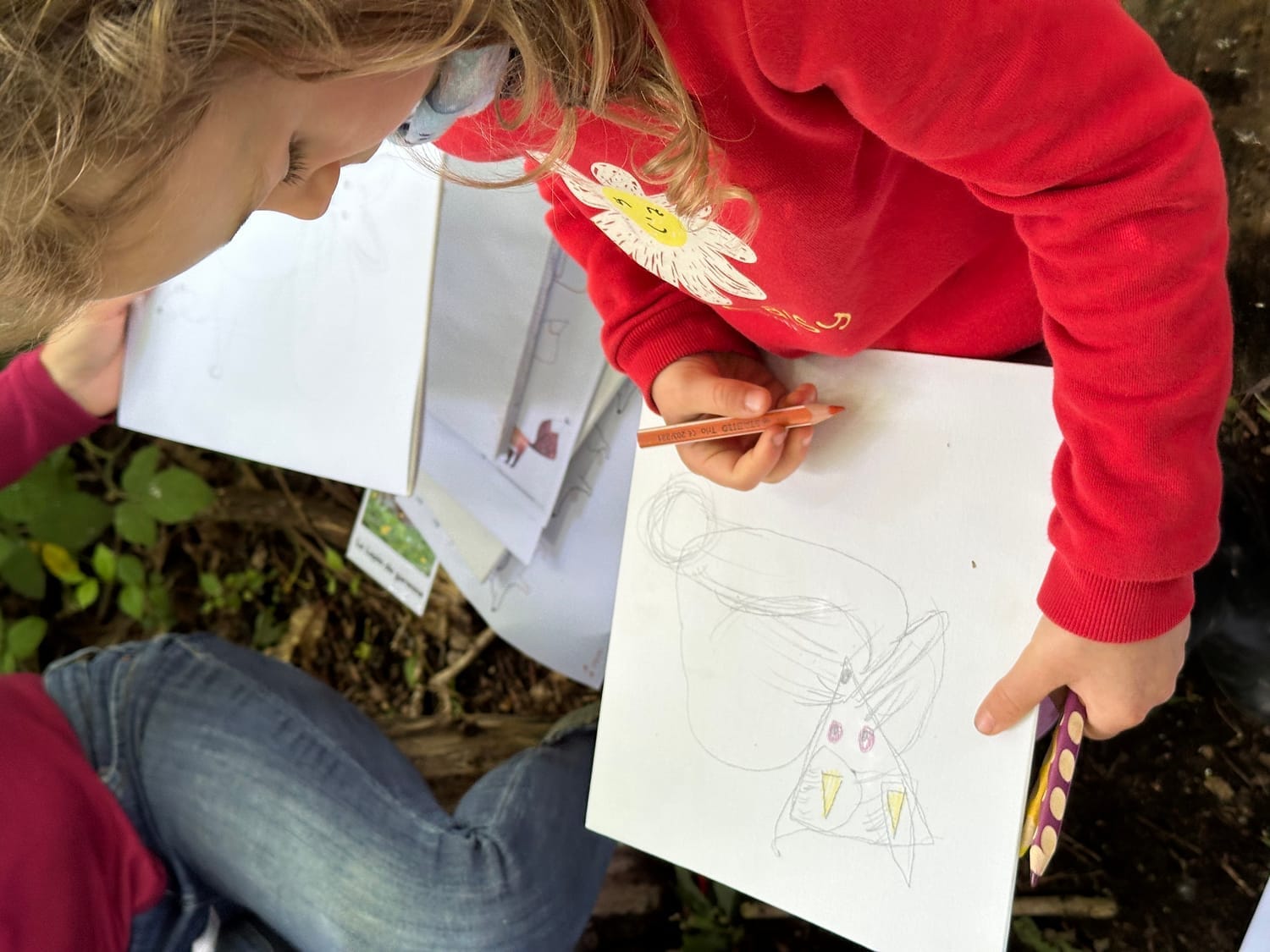 Le Renard des sables (fennec) dessiné par Poppy