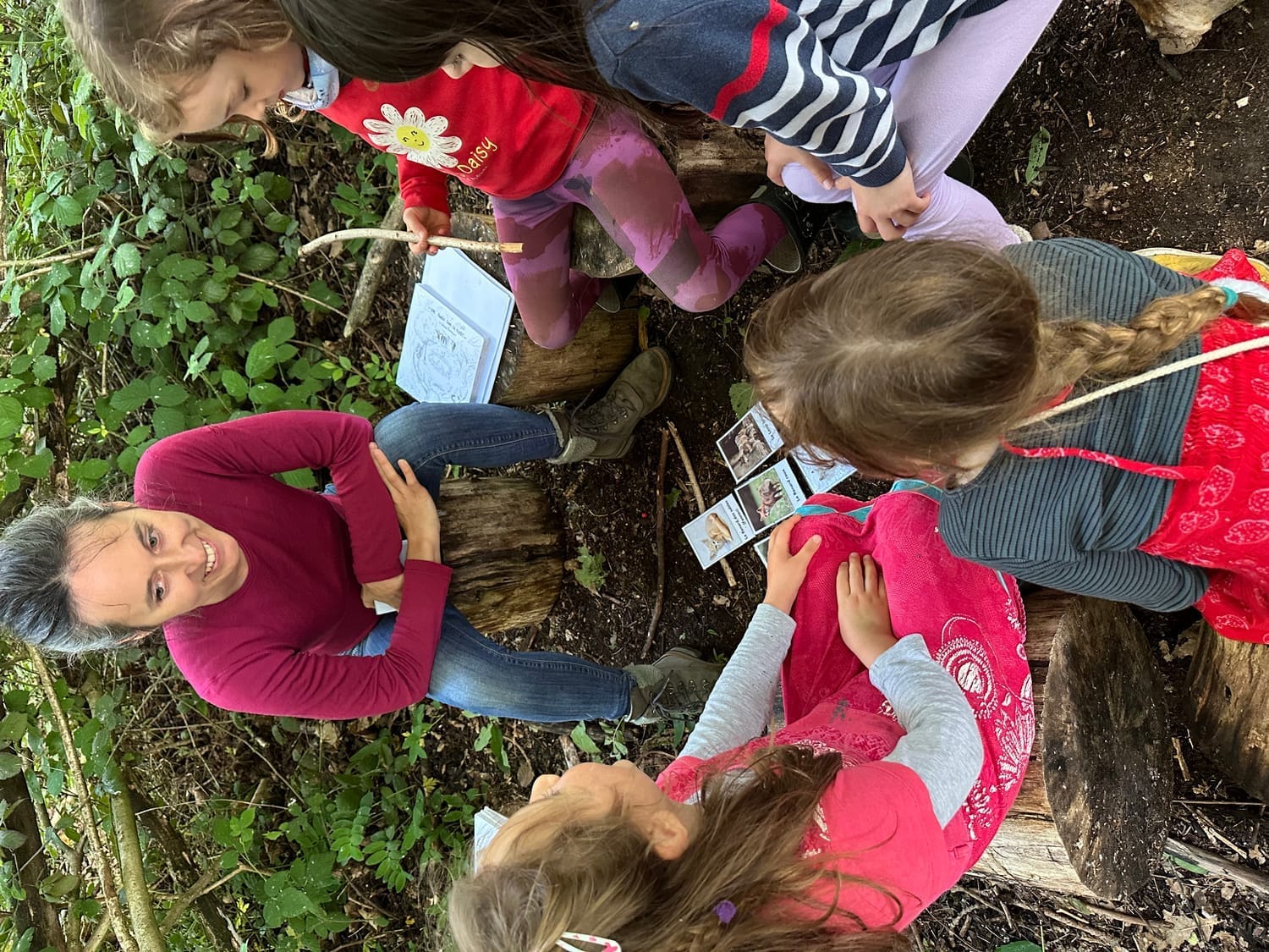 Histoire sur le Renard roux racontée aux enfants en forêt