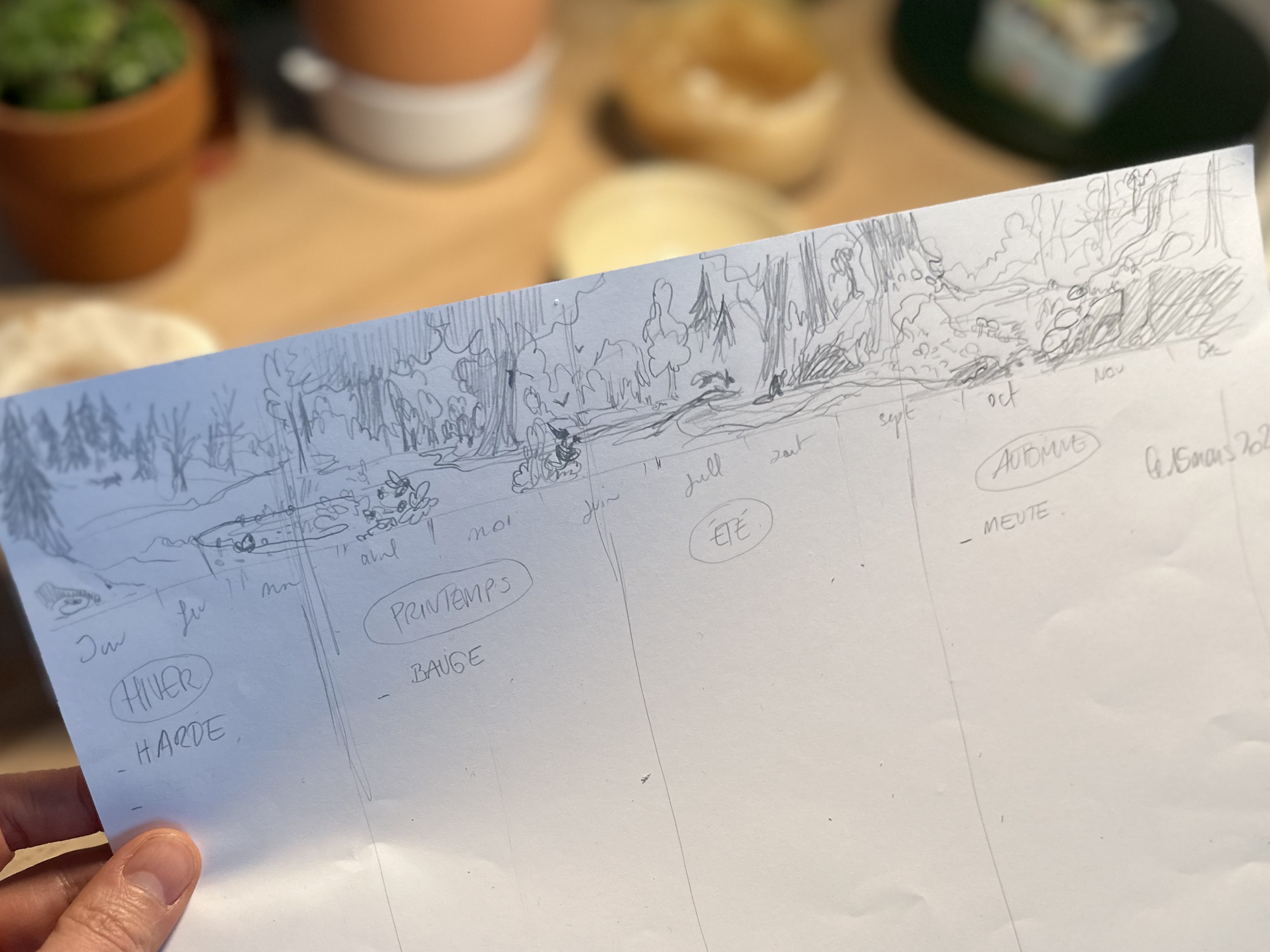 La toute première esquisse du Calendrier Panoramique Une année dans la forêt