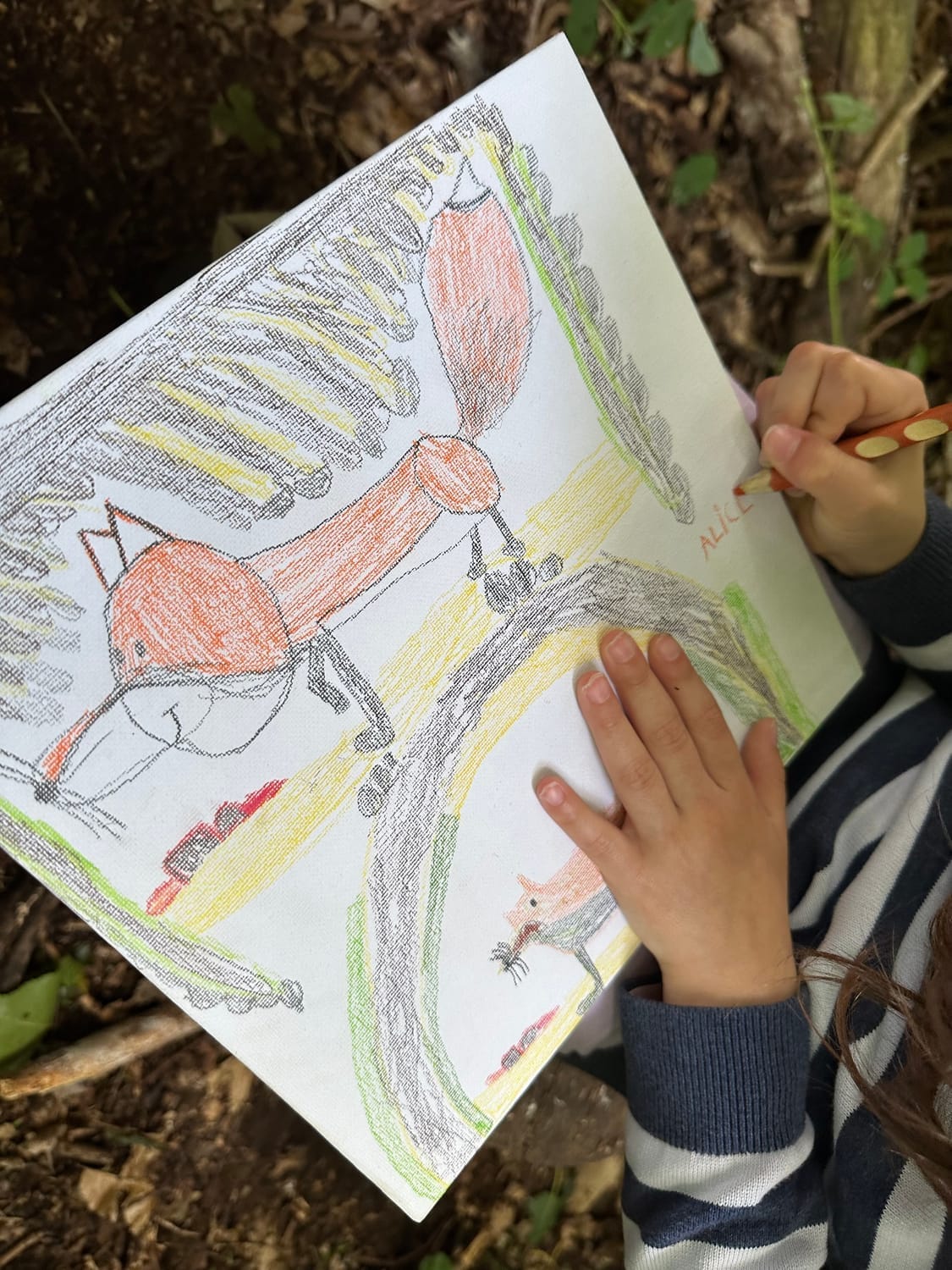 Le Renard roux dans son terrier dessiné par Alice, 6 ans