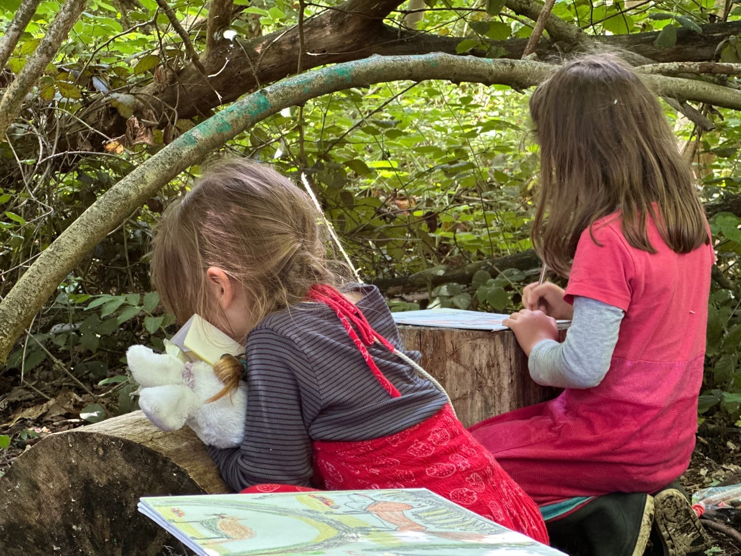 Atelier de dessin en groupe dans la forêt