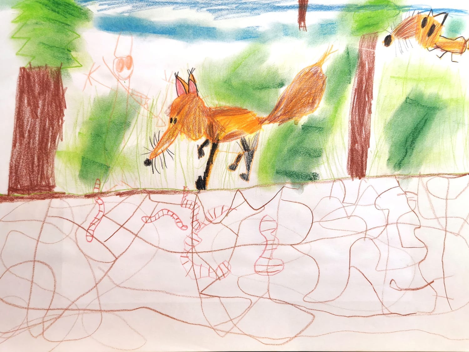 Atelier sur le Renard roux et le Ver de terre réalisé par Louis