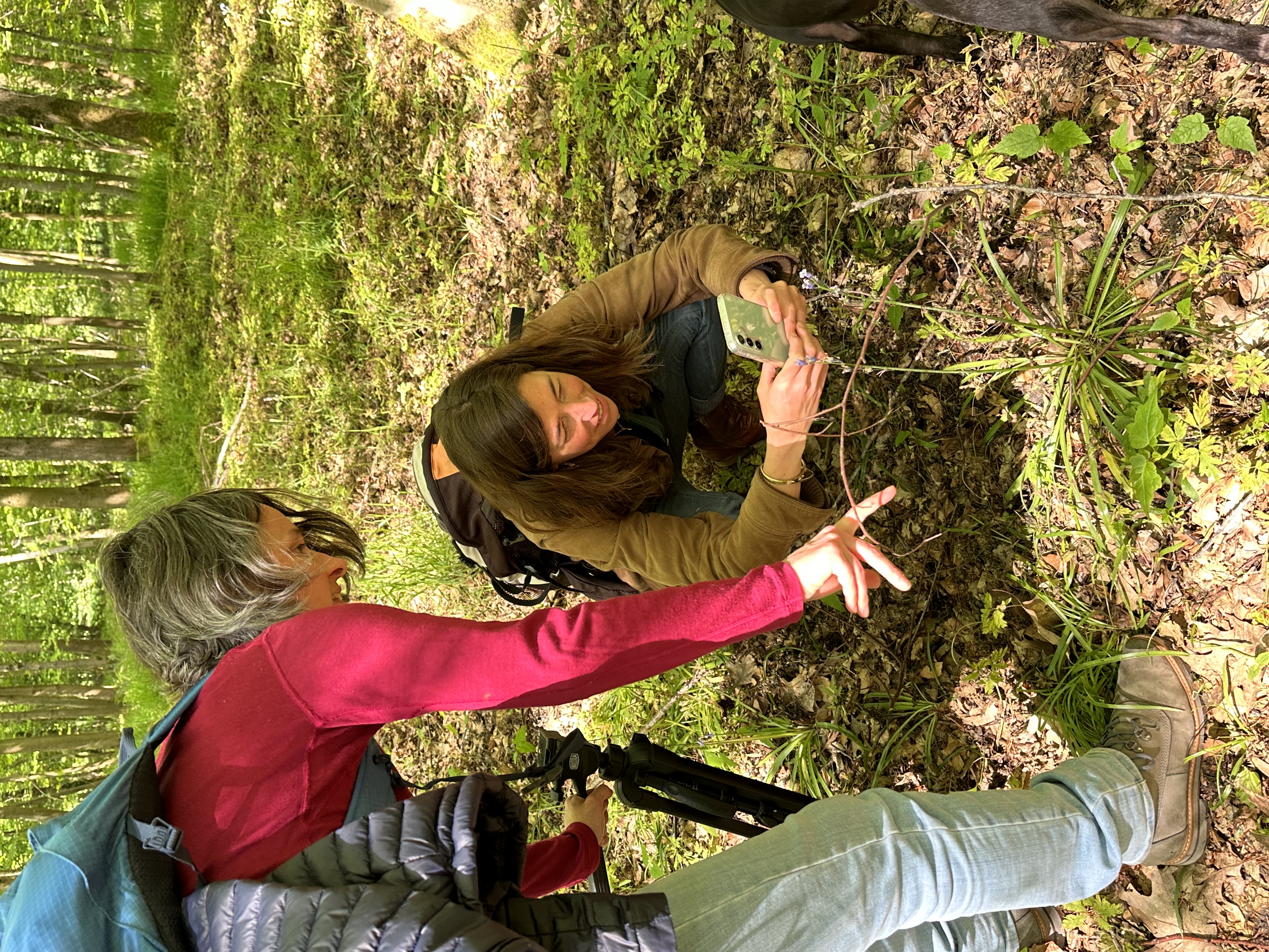 Laetitia montre une jacinthe des bois à Hélène qui la photographie