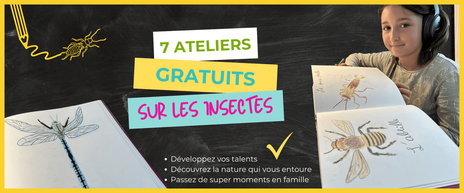 Bannière des 7 ateliers gratuits Ensemble Dessinons les Insectes