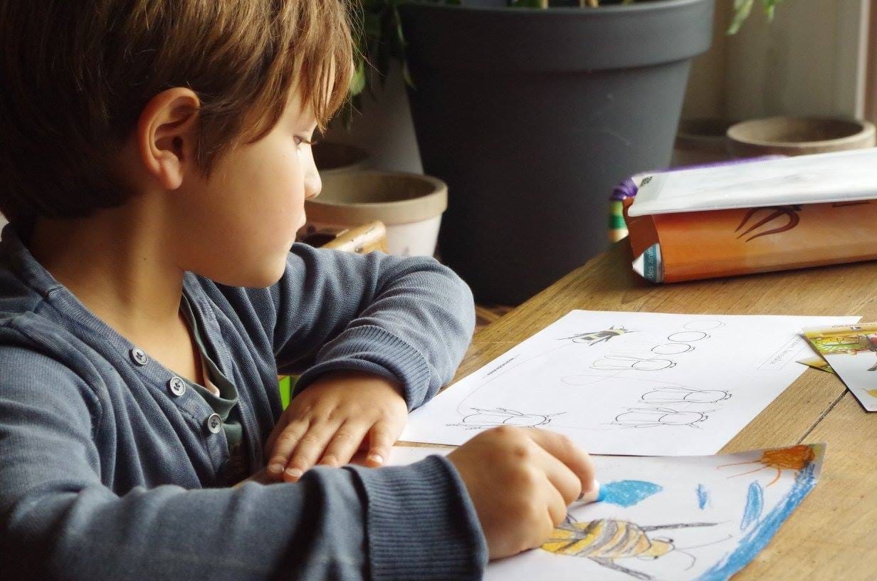 Aucan dessine le Bourdon terrestre avec la fiche pas-à-pas