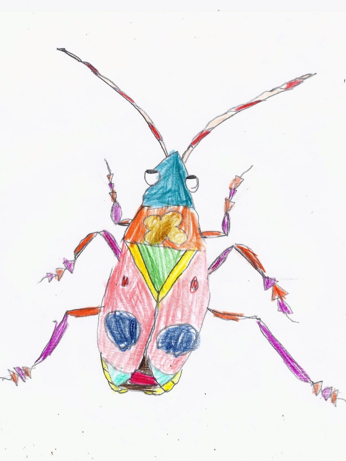 Le gendarme dessiné par Arsen lors d'un atelier créatif sur les insectes