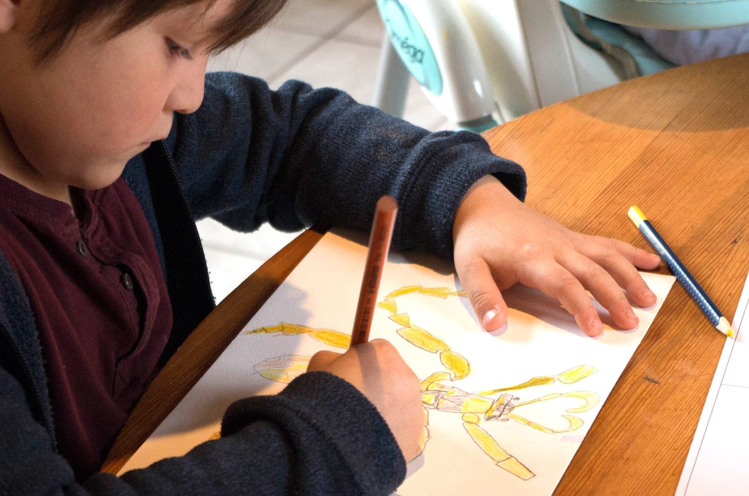 Aucan met en couleur son dessin de guêpe