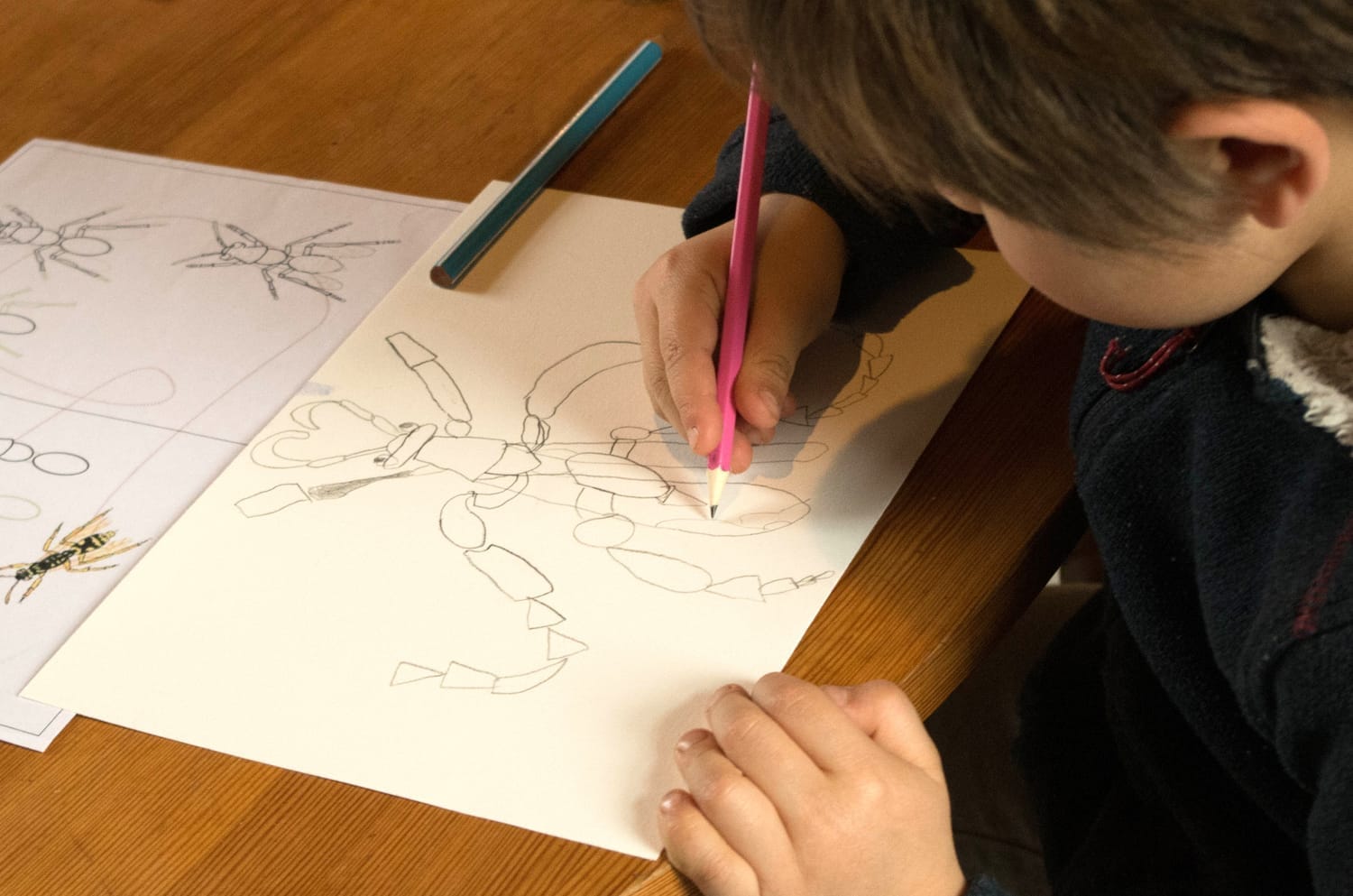 Aucan dessine la guêpe au crayon de bois à partir de la fiche pas-à-pas